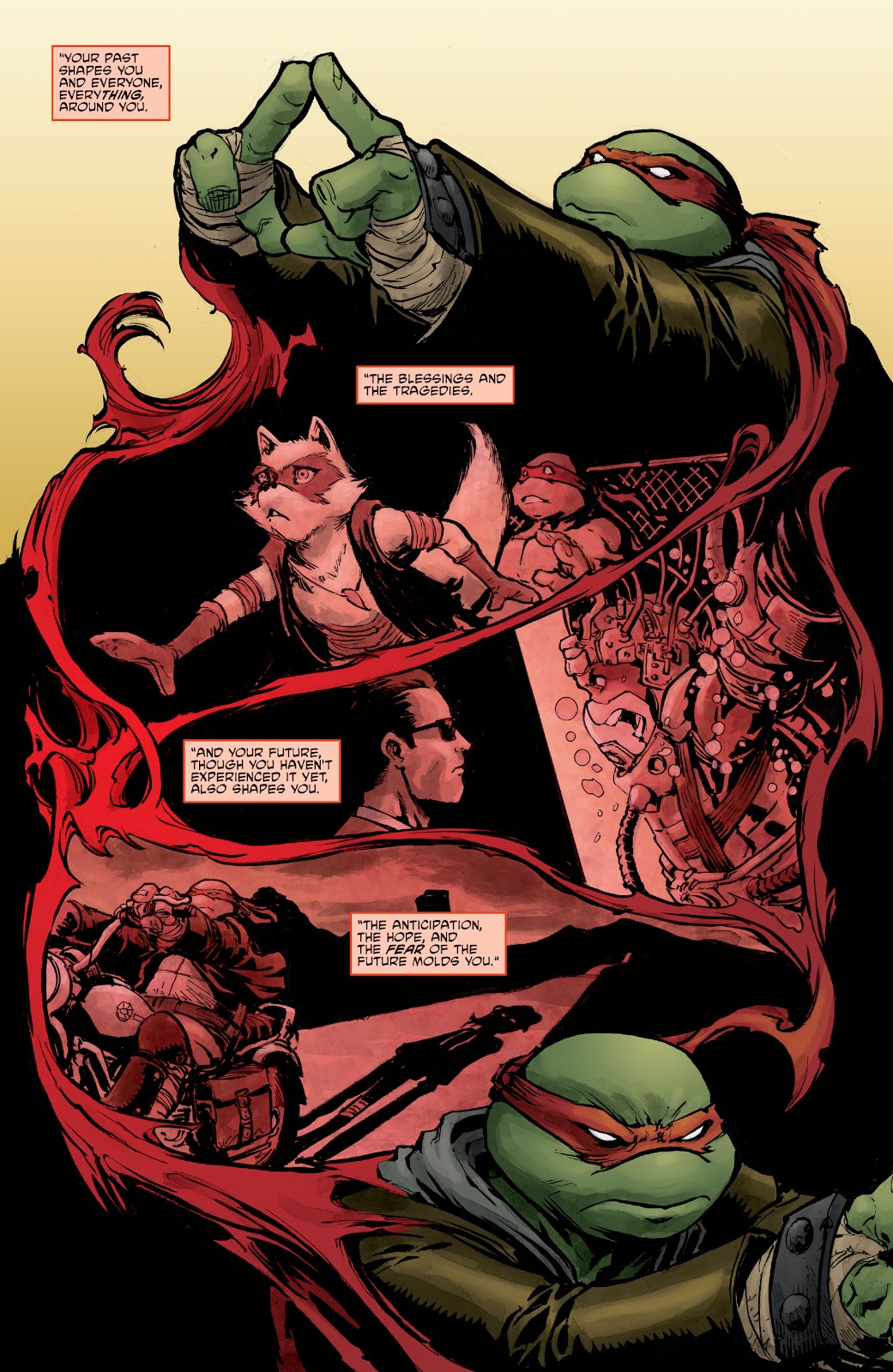 Teenage Mutant Ninja Turtles (2011) issue 139 - Page 13