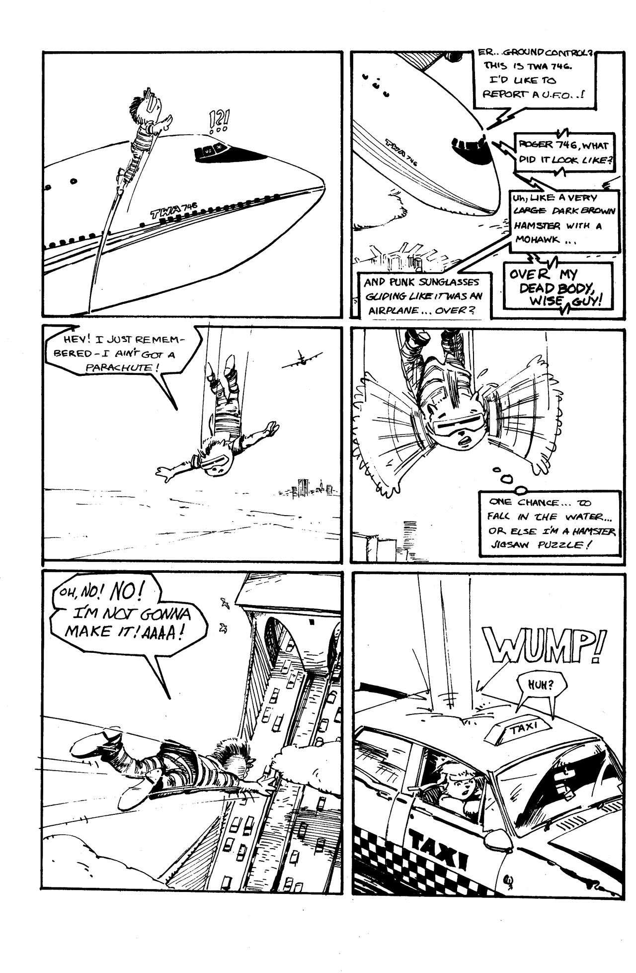 Read online Adolescent Radioactive Black Belt Hamsters comic -  Issue #3 - 22