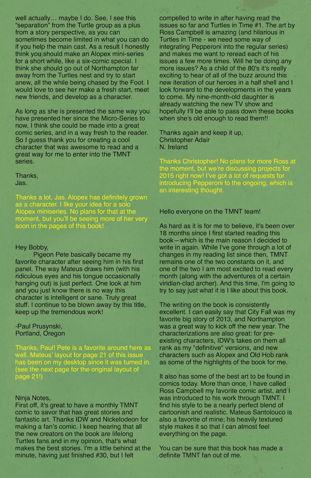 Teenage Mutant Ninja Turtles (2011) issue 38 - Page 29