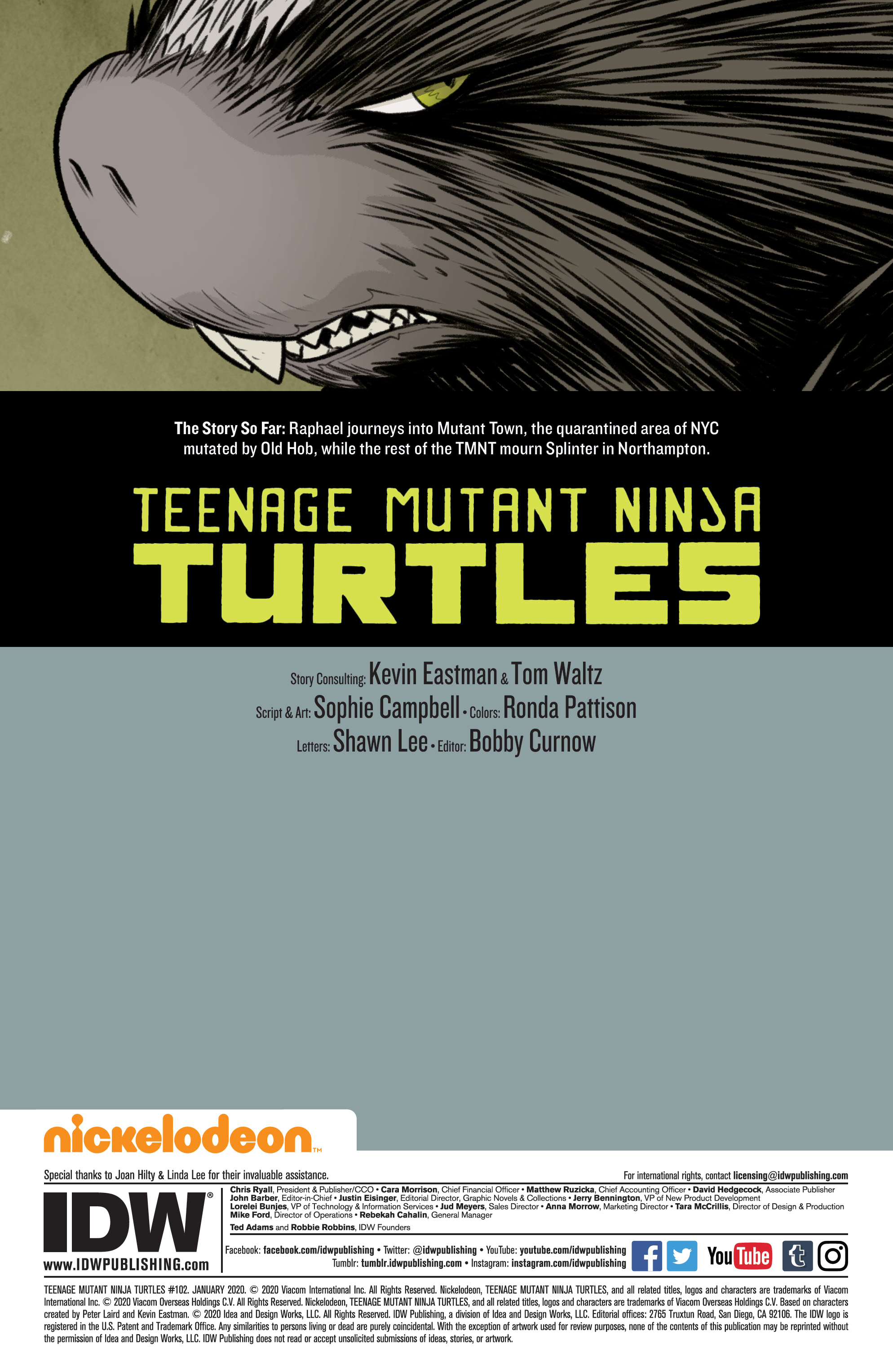 Read online Teenage Mutant Ninja Turtles (2011) comic -  Issue #102 - 2