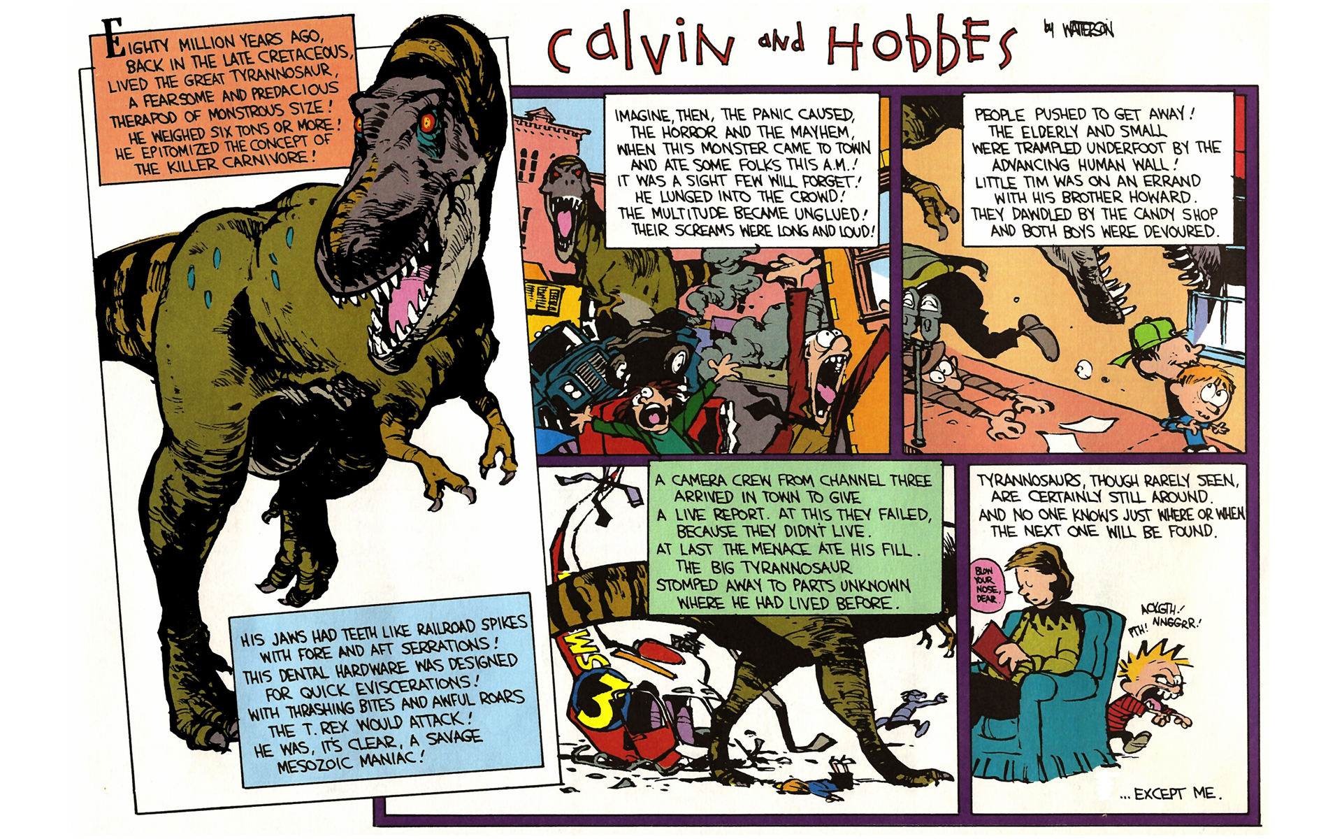Read online Calvin and Hobbes comic -  Issue #8 - 20