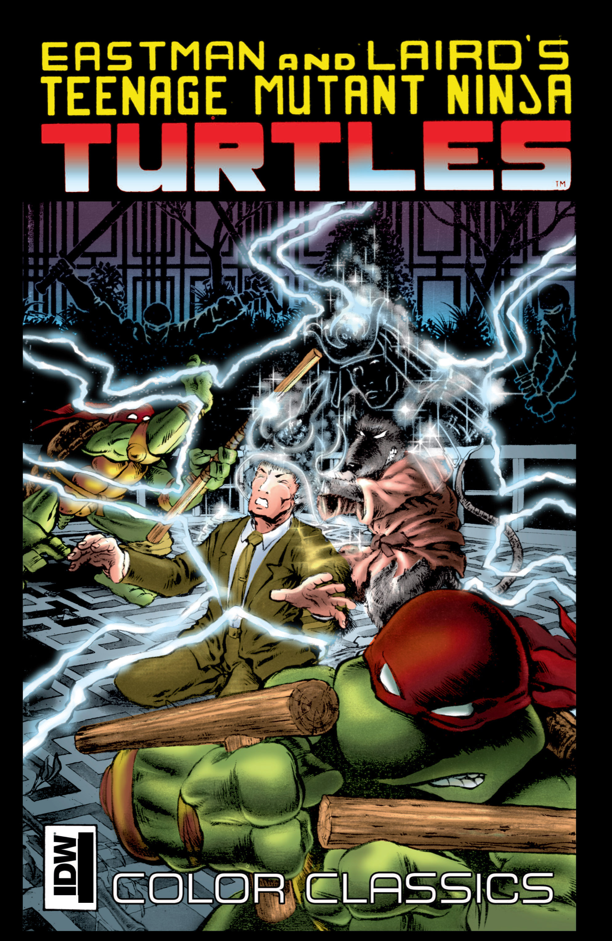 Teenage Mutant Ninja Turtles Color Classics (2012) issue 9 - Page 1