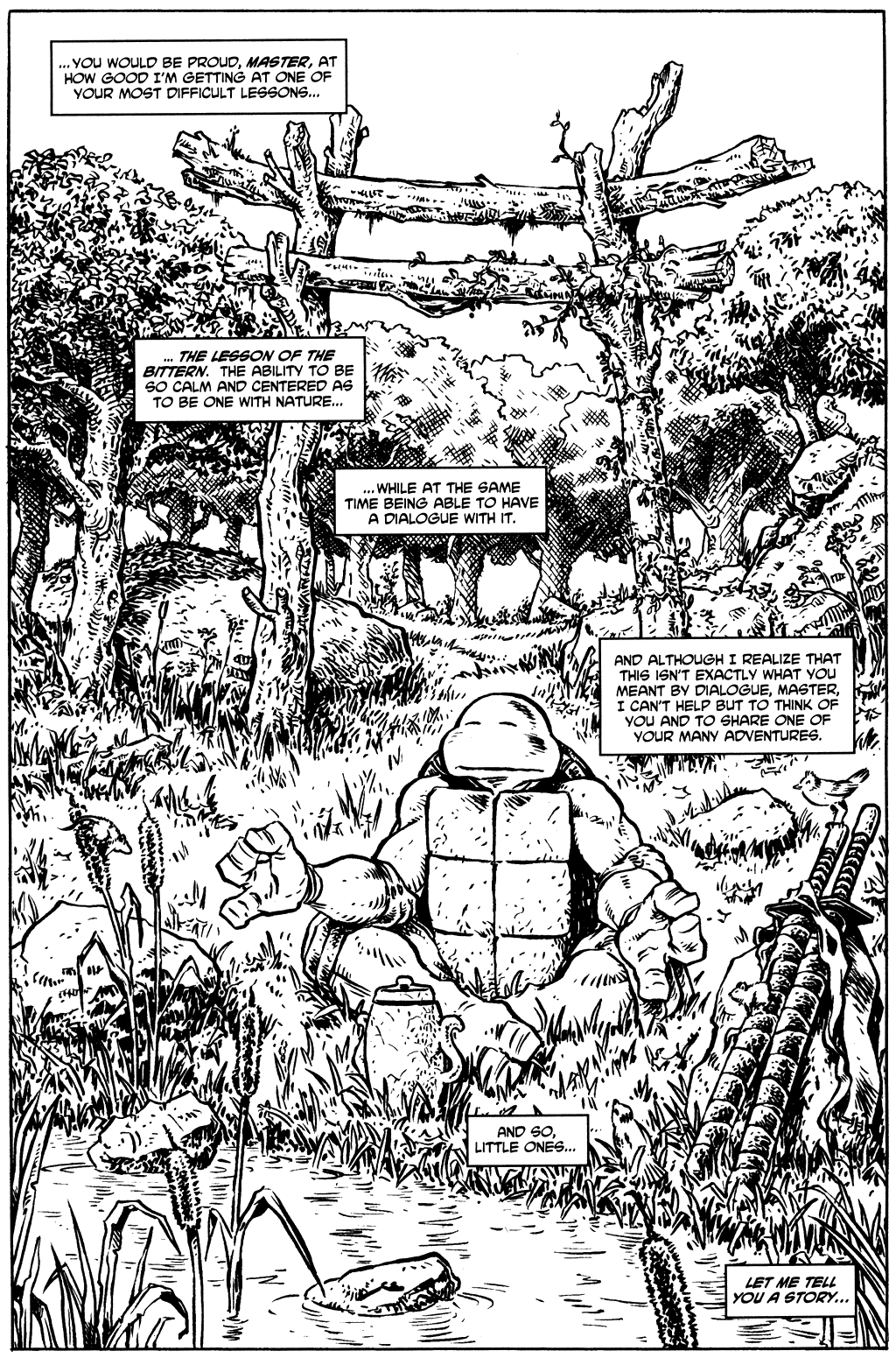 Read online Tales of the TMNT comic -  Issue #2 - 3