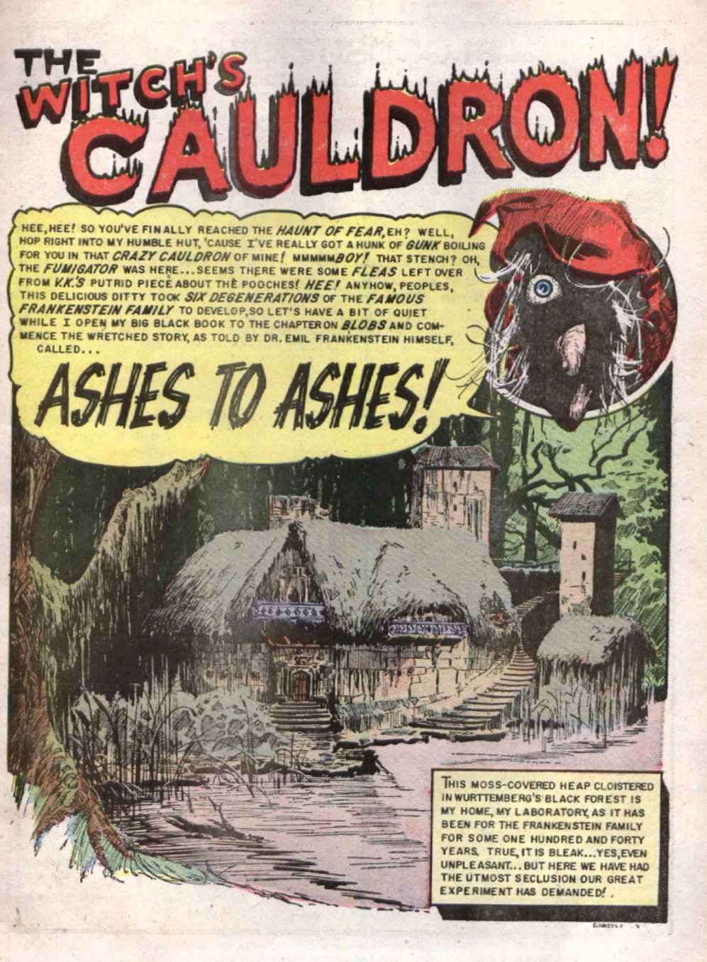 Read online The Vault of Horror (1950) comic -  Issue #40 - 27