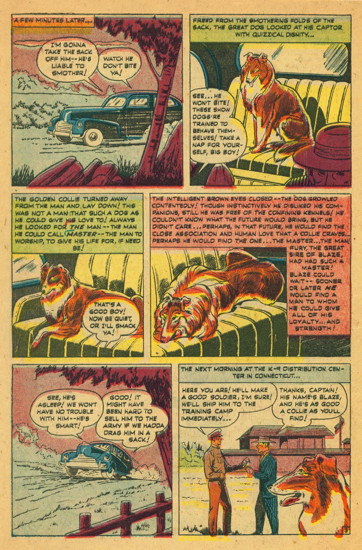 Read online Blaze the Wonder Collie comic -  Issue #2 - 6