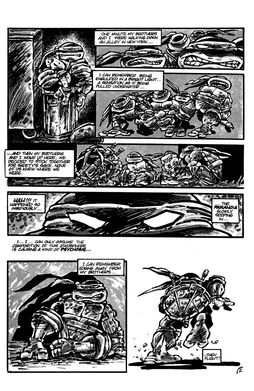 Teenage Mutant Ninja Turtles (1984) Issue #4 #4 - English 39