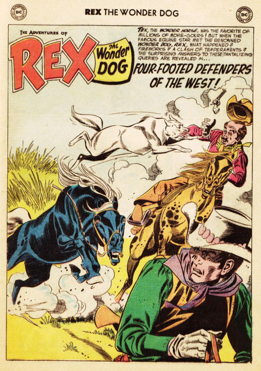 Read online The Adventures of Rex the Wonder Dog comic -  Issue #35 - 18