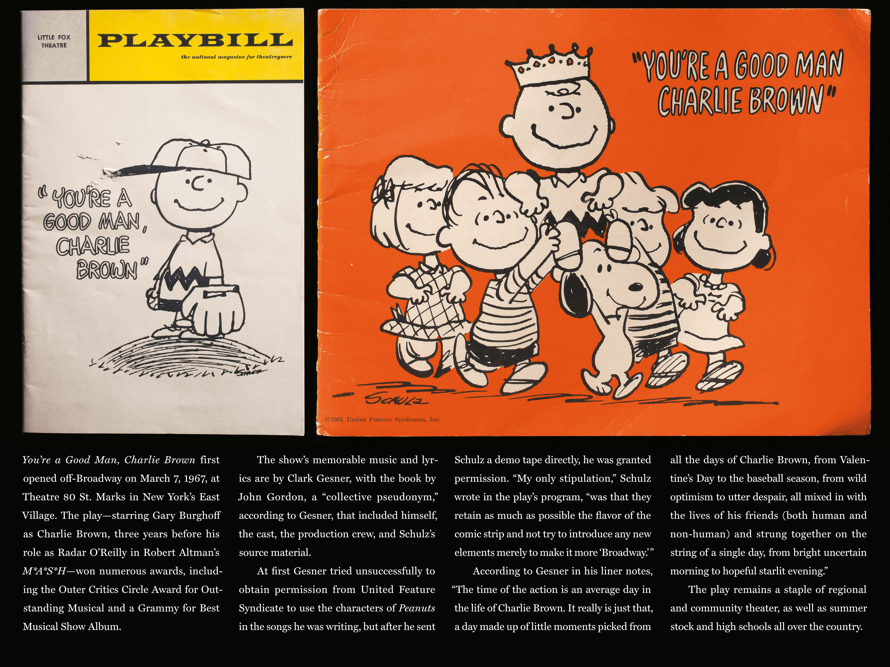 Read online Only What's Necessary: Charles M. Schulz and the Art of Peanuts comic -  Issue # TPB (Part 3) - 14