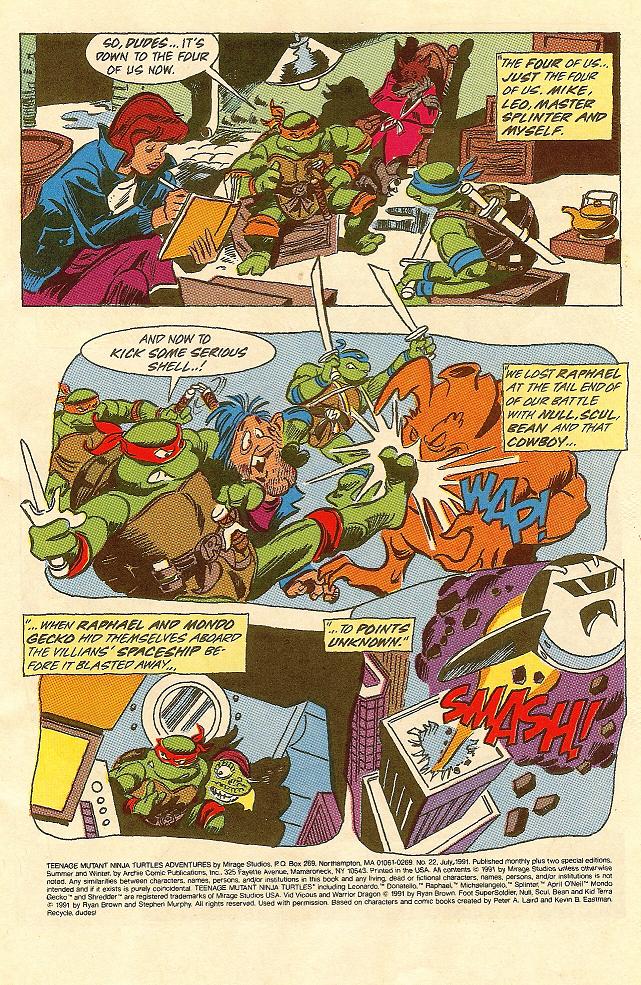Teenage Mutant Ninja Turtles Adventures (1989) issue 22 - Page 2