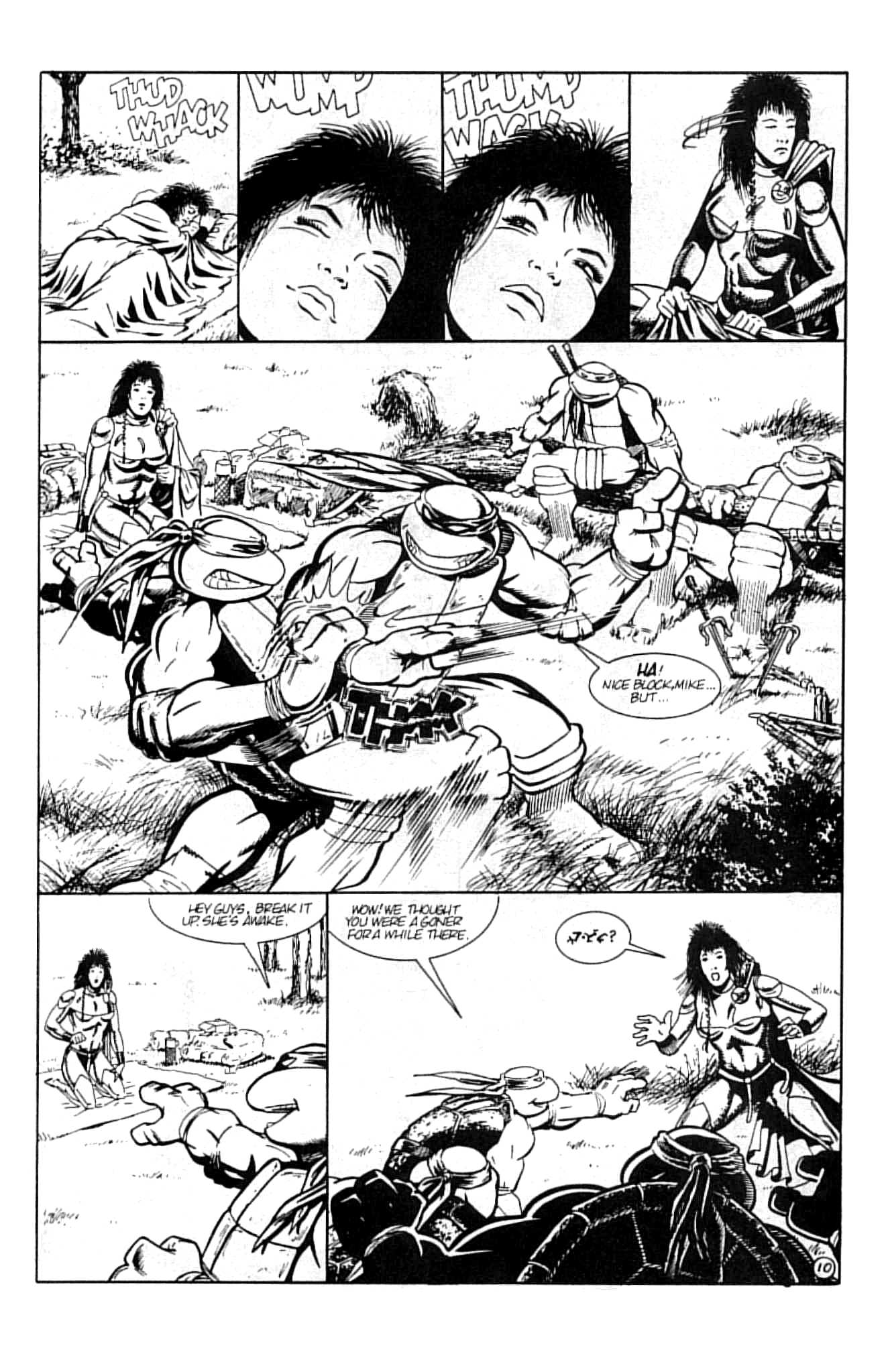 Teenage Mutant Ninja Turtles (1984) Issue #13 #13 - English 14