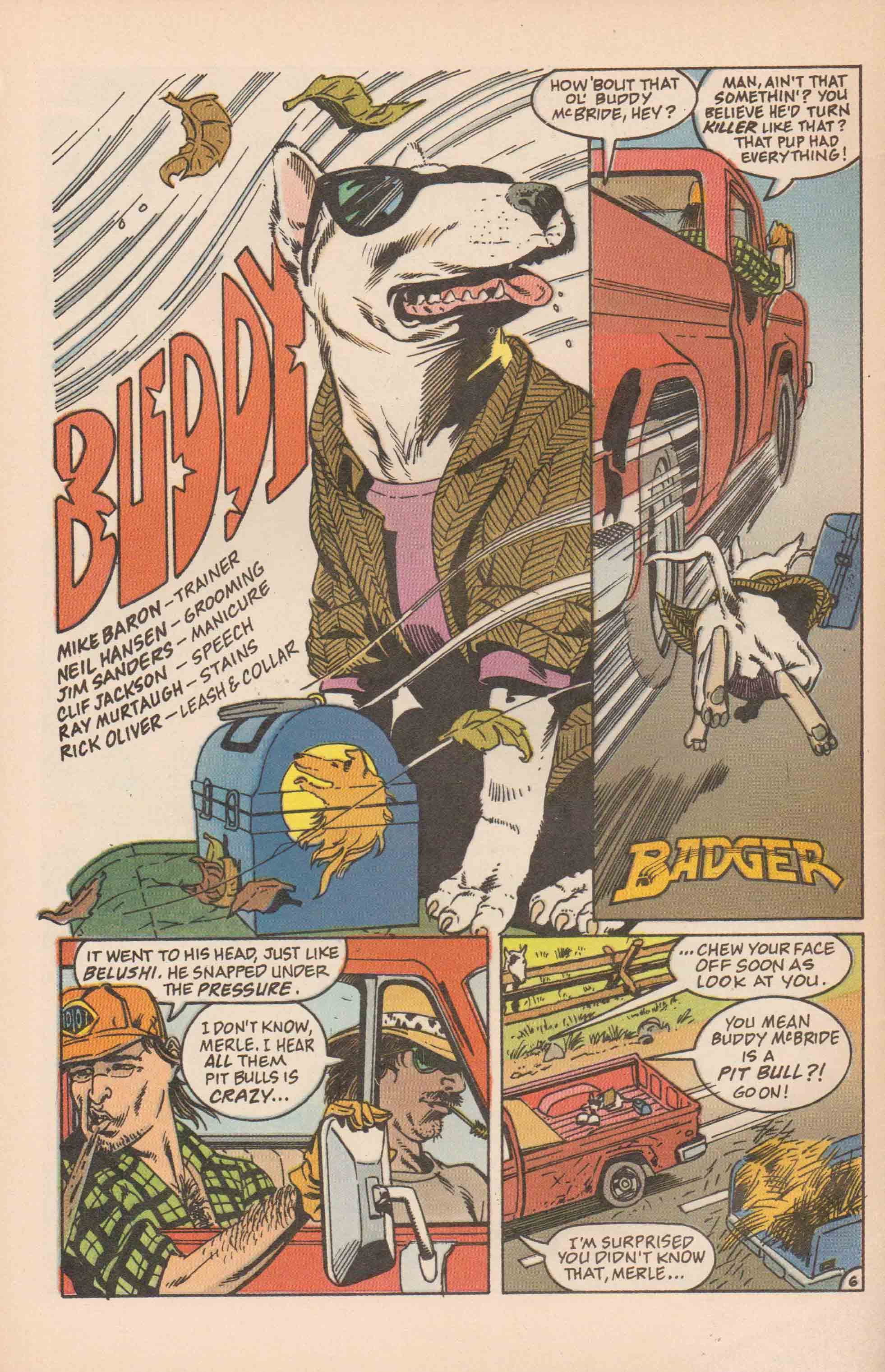 Read online The Badger comic -  Issue #39 - 7