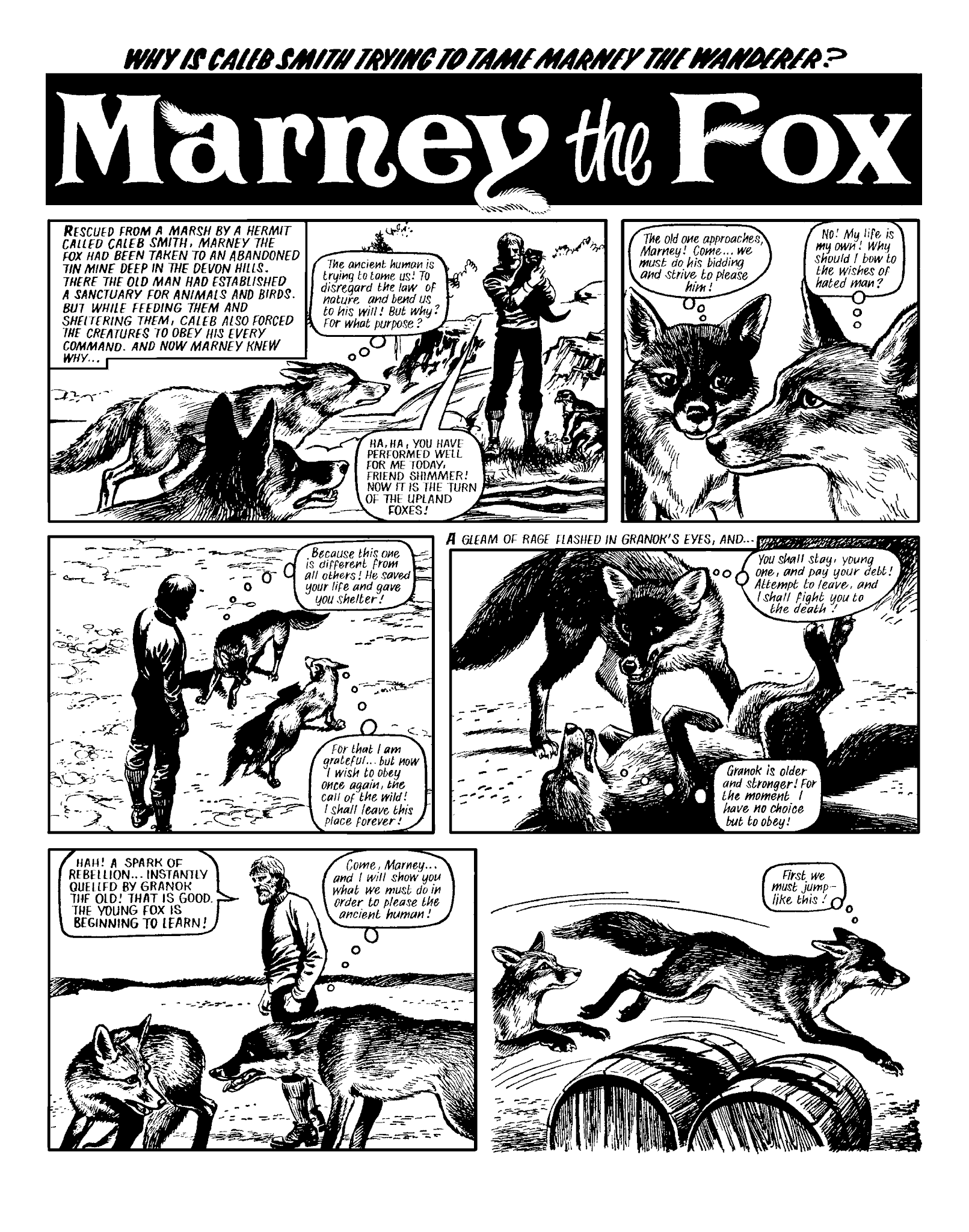 Read online Marney the Fox comic -  Issue # TPB (Part 2) - 106