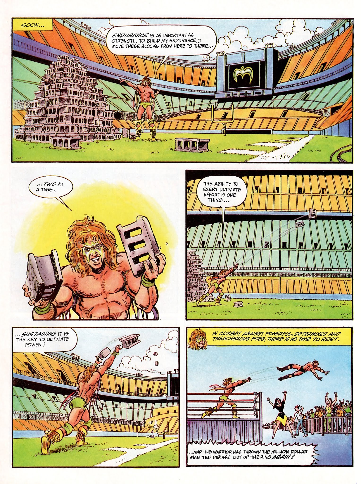 Read online WWF Battlemania comic -  Issue #2 - 7