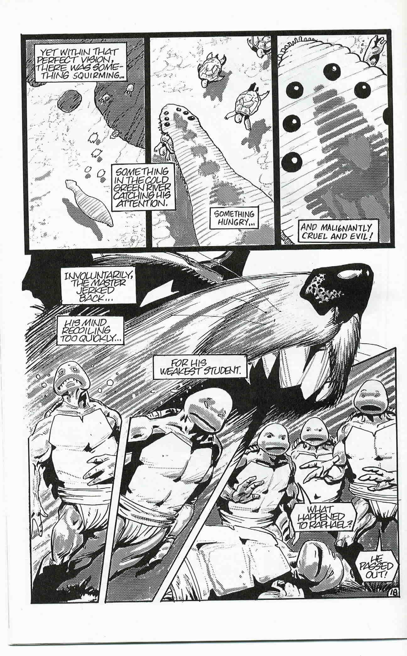 Read online Teenage Mutant Ninja Turtles (1984) comic -  Issue #24 - 19