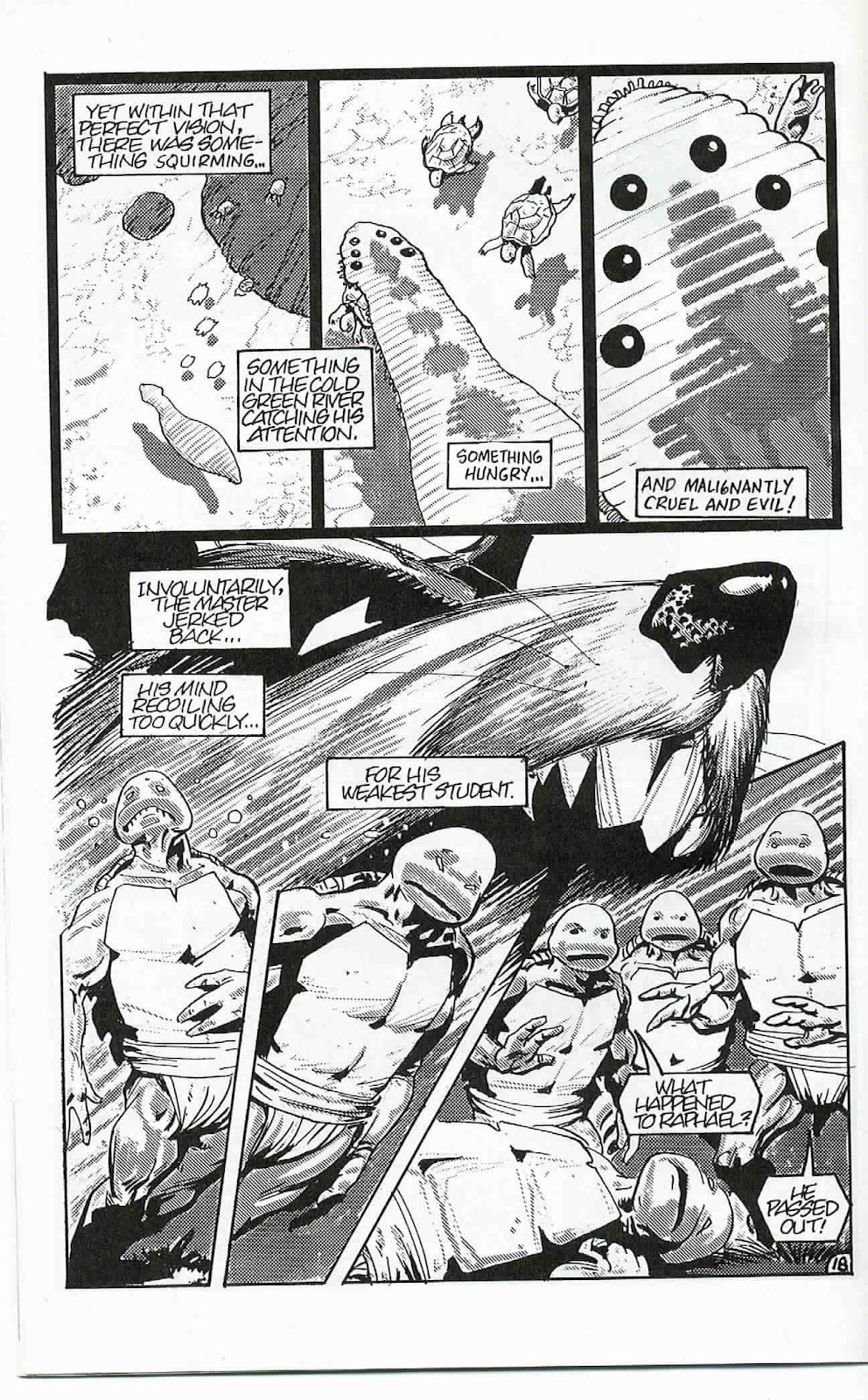 Teenage Mutant Ninja Turtles (1984) Issue #24 #24 - English 19