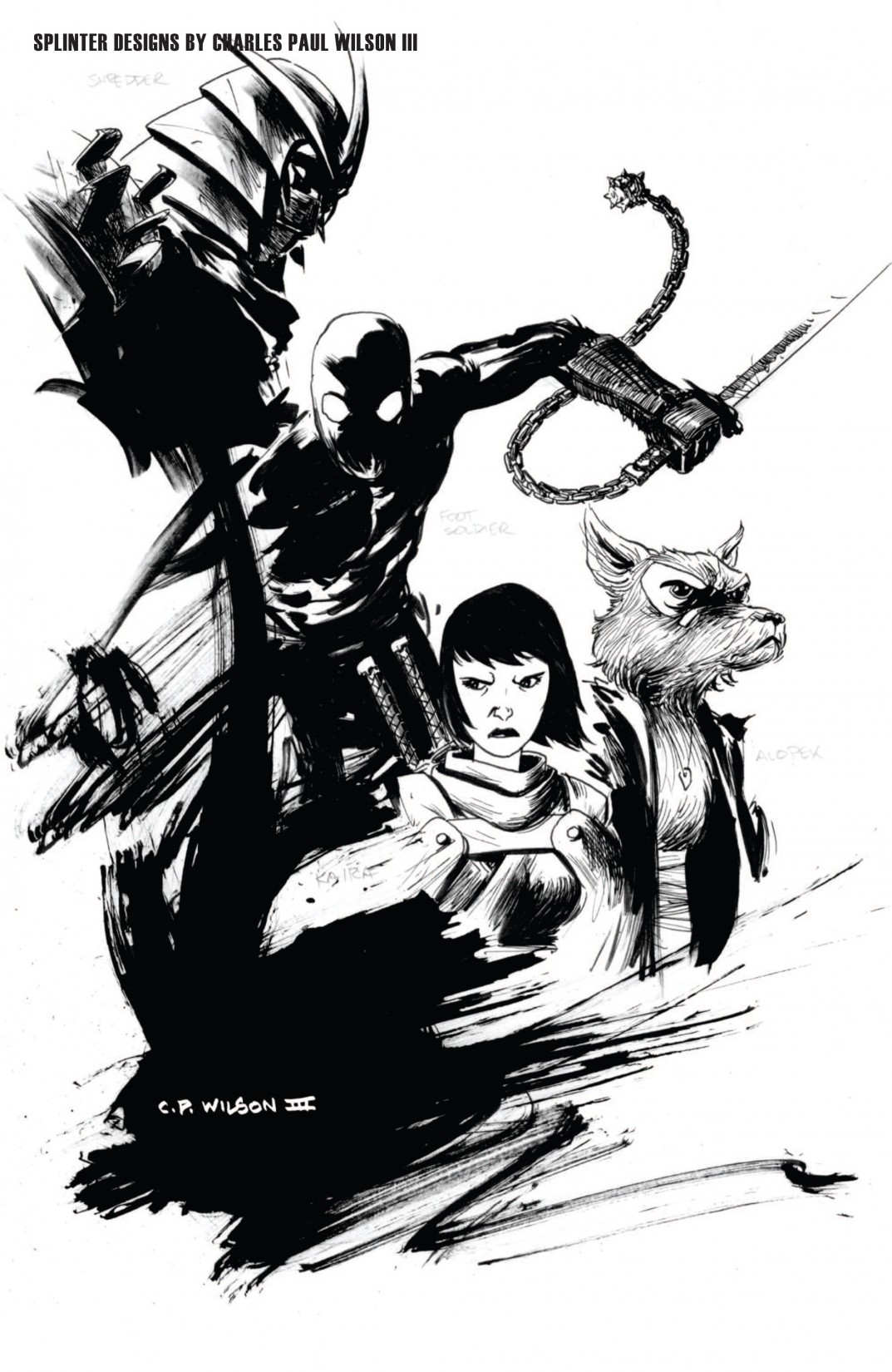 Read online Teenage Mutant Ninja Turtles Micro-Series comic -  Issue #5 - 25