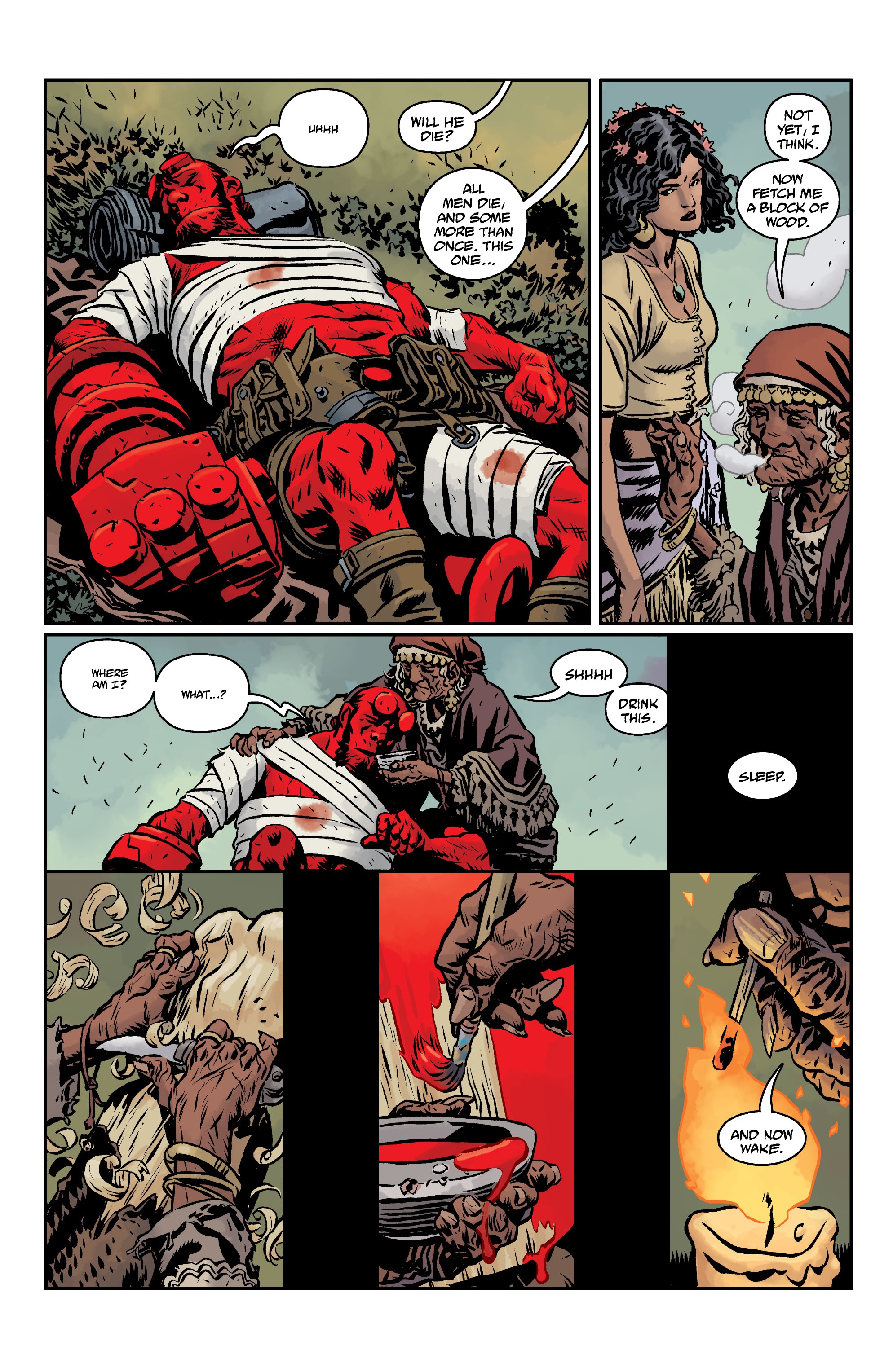 Read online Hellboy and the B.P.R.D.: The Beast of Vargu and Others comic -  Issue # TPB (Part 1) - 17