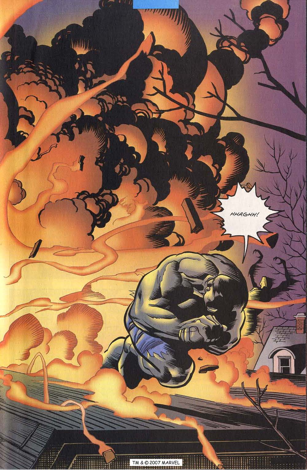 The Incredible Hulk (2000) Issue #15 #4 - English 25