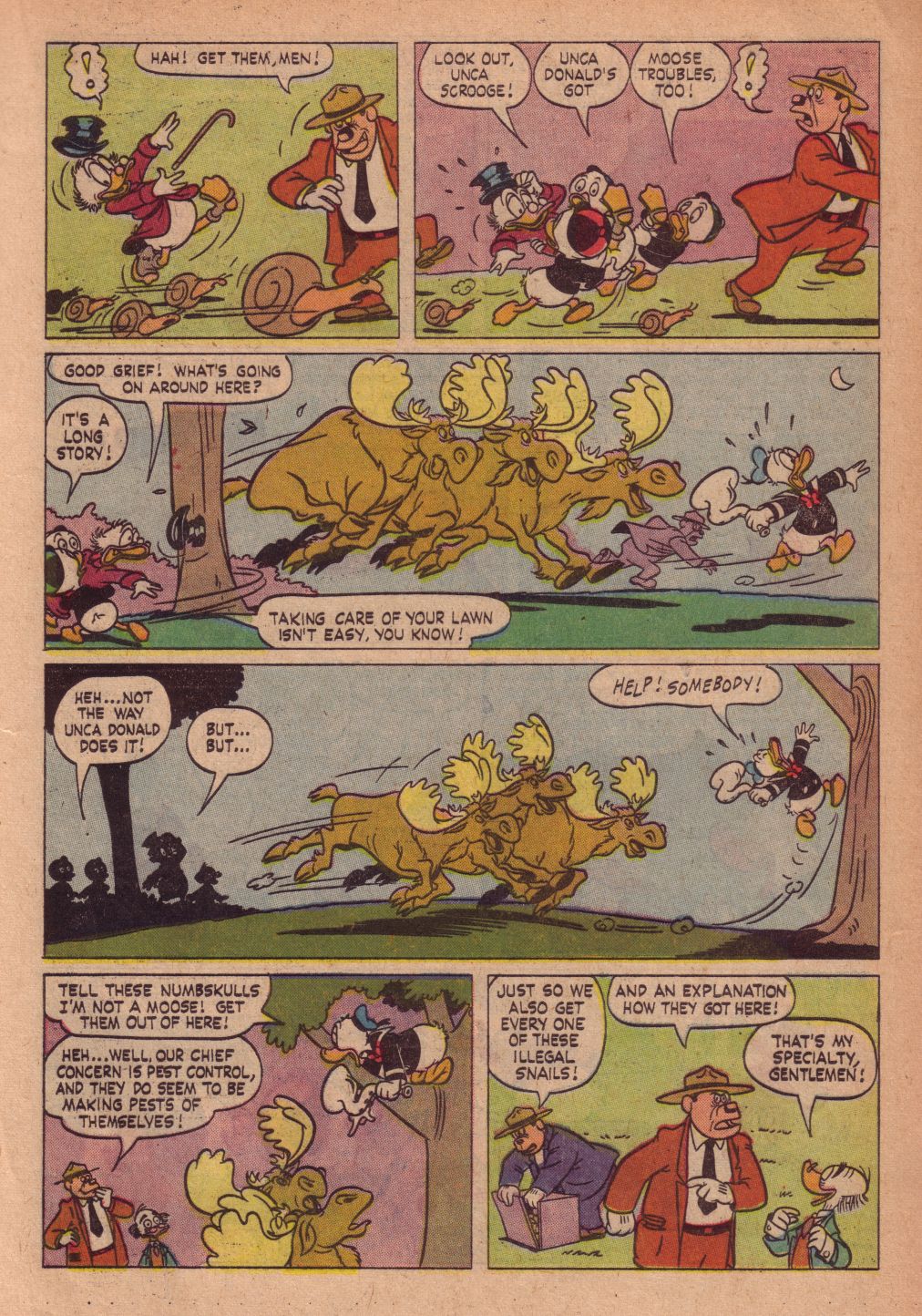 Read online Walt Disney's Donald Duck (1952) comic -  Issue #82 - 17