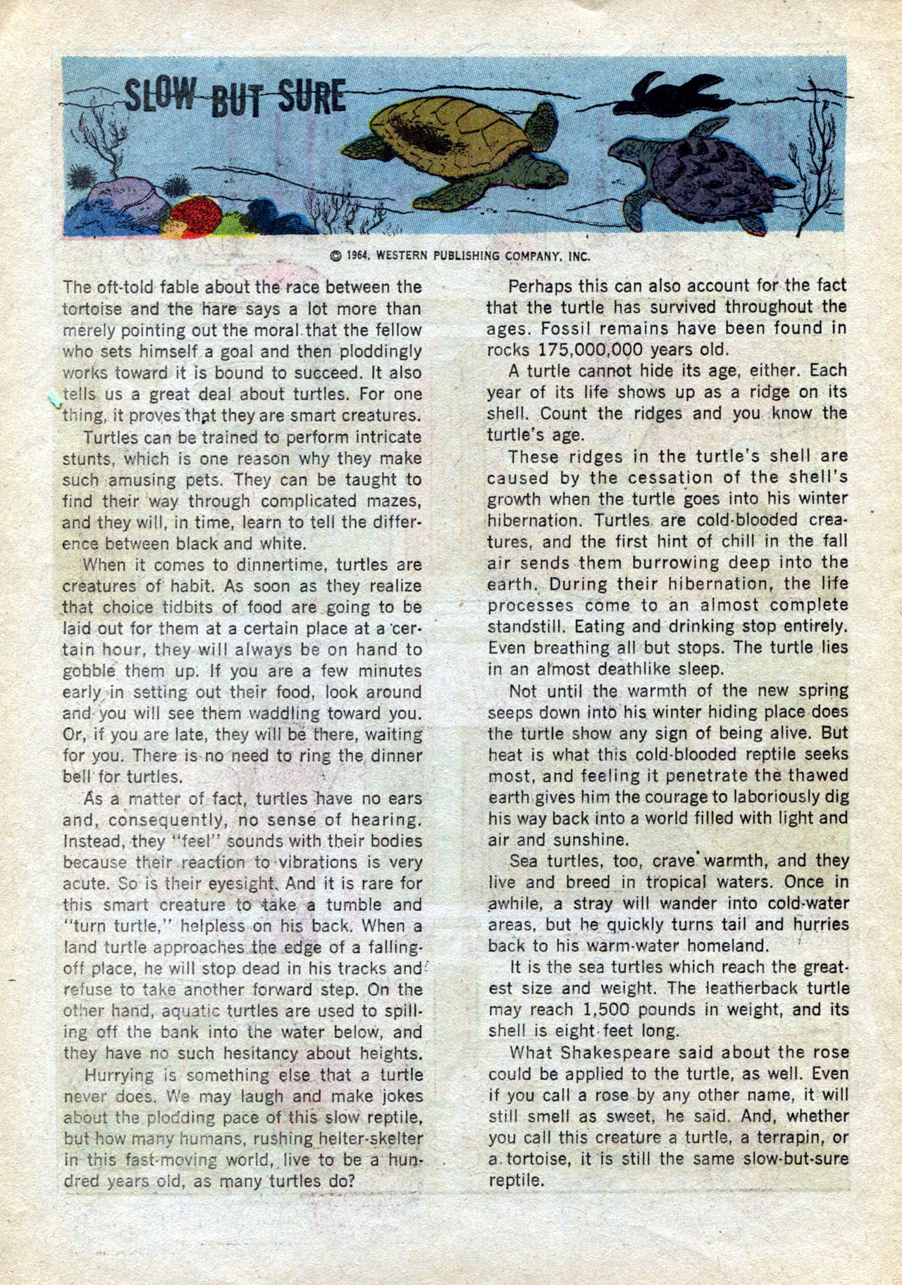Read online Huckleberry Hound (1960) comic -  Issue #25 - 22