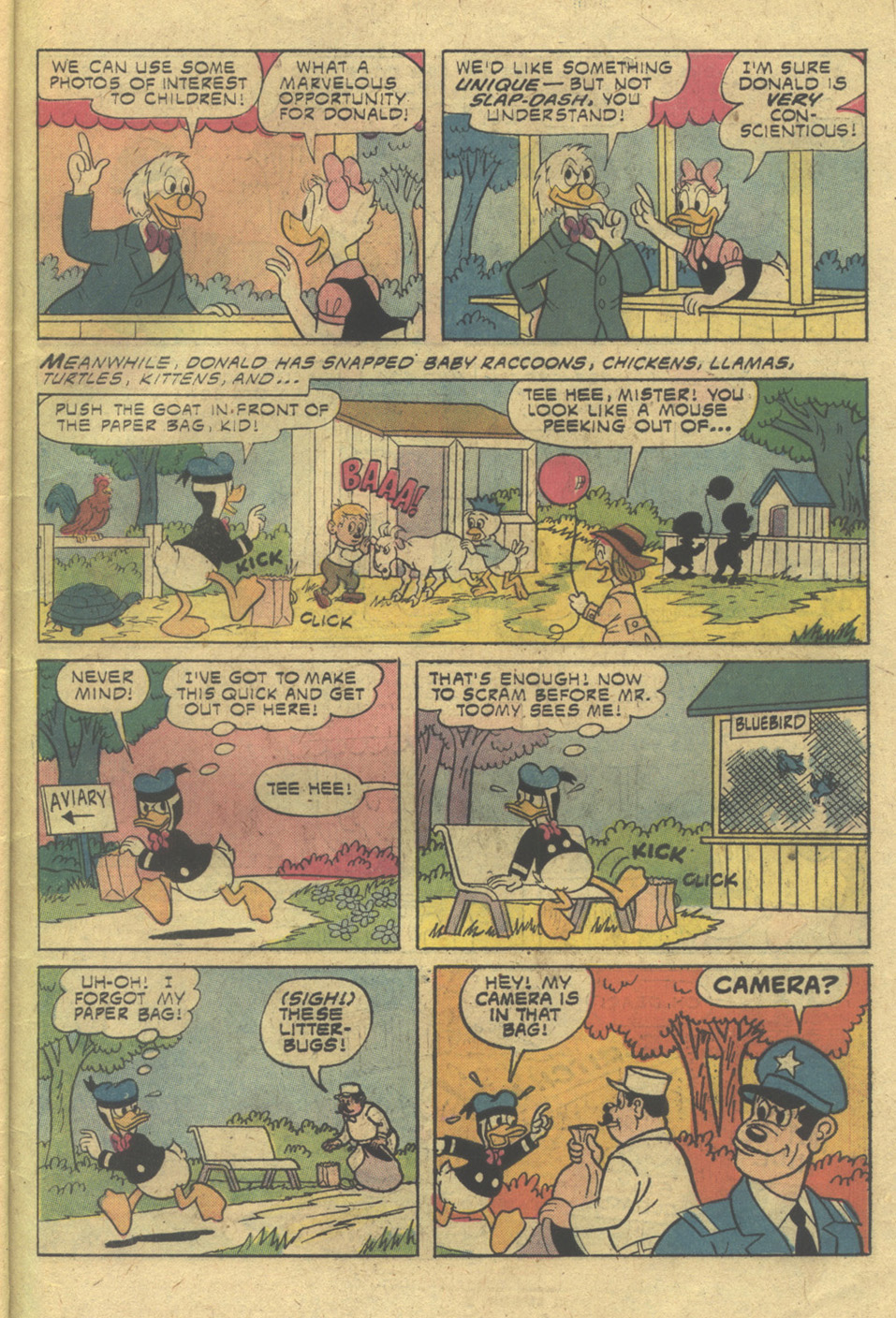 Read online Walt Disney Daisy and Donald comic -  Issue #12 - 31
