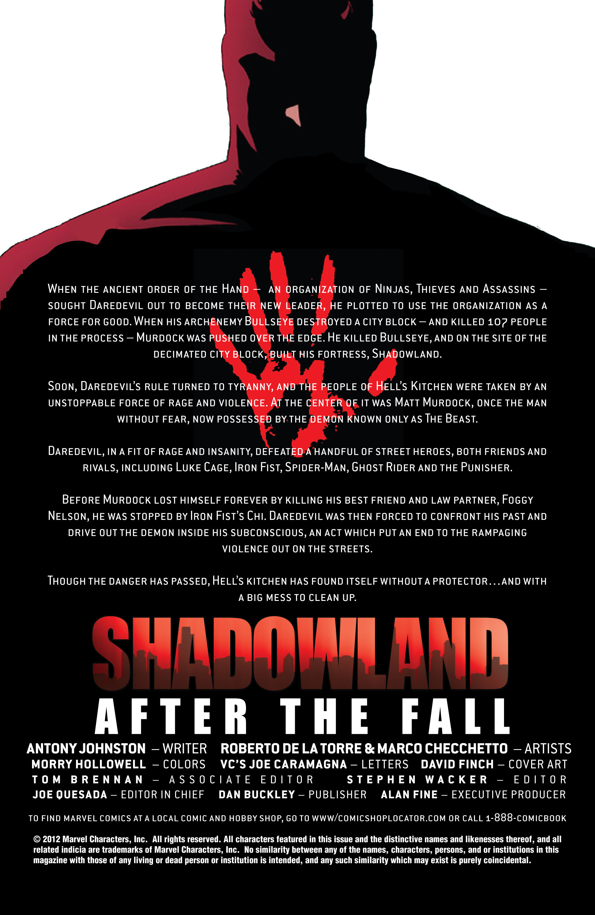 Read online Shadowland: After the Fall comic -  Issue # Full - 2