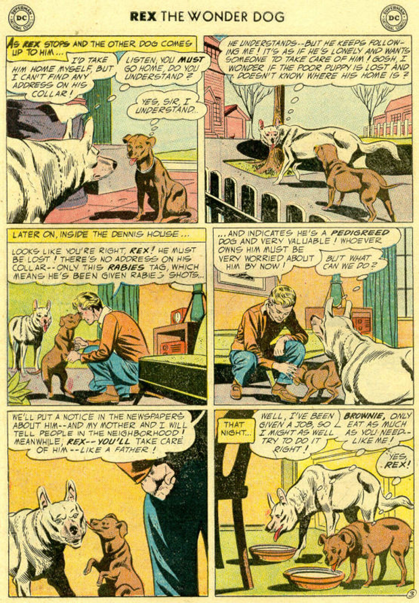 Read online The Adventures of Rex the Wonder Dog comic -  Issue #22 - 28