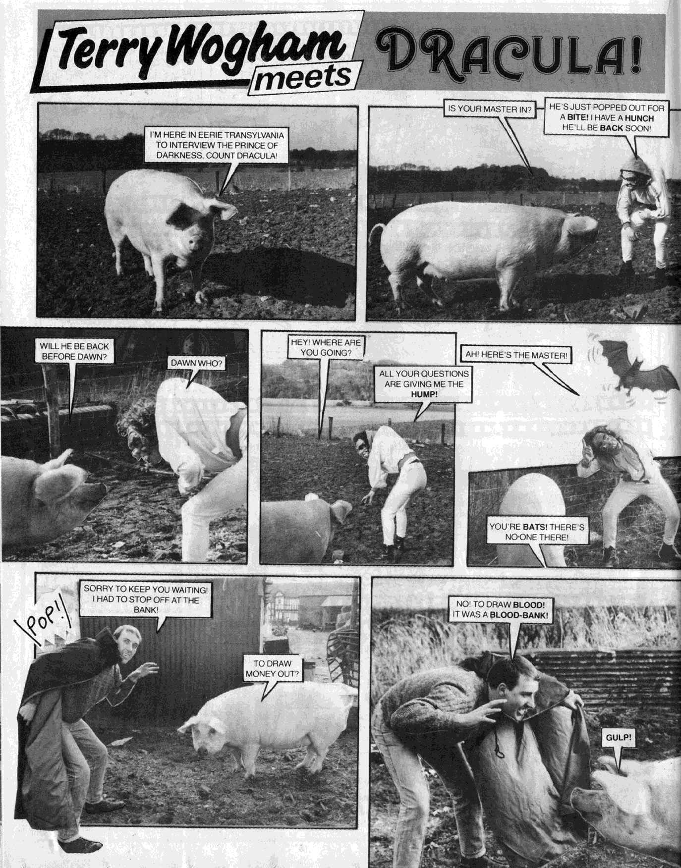 Read online Oink! comic -  Issue #2 - 18