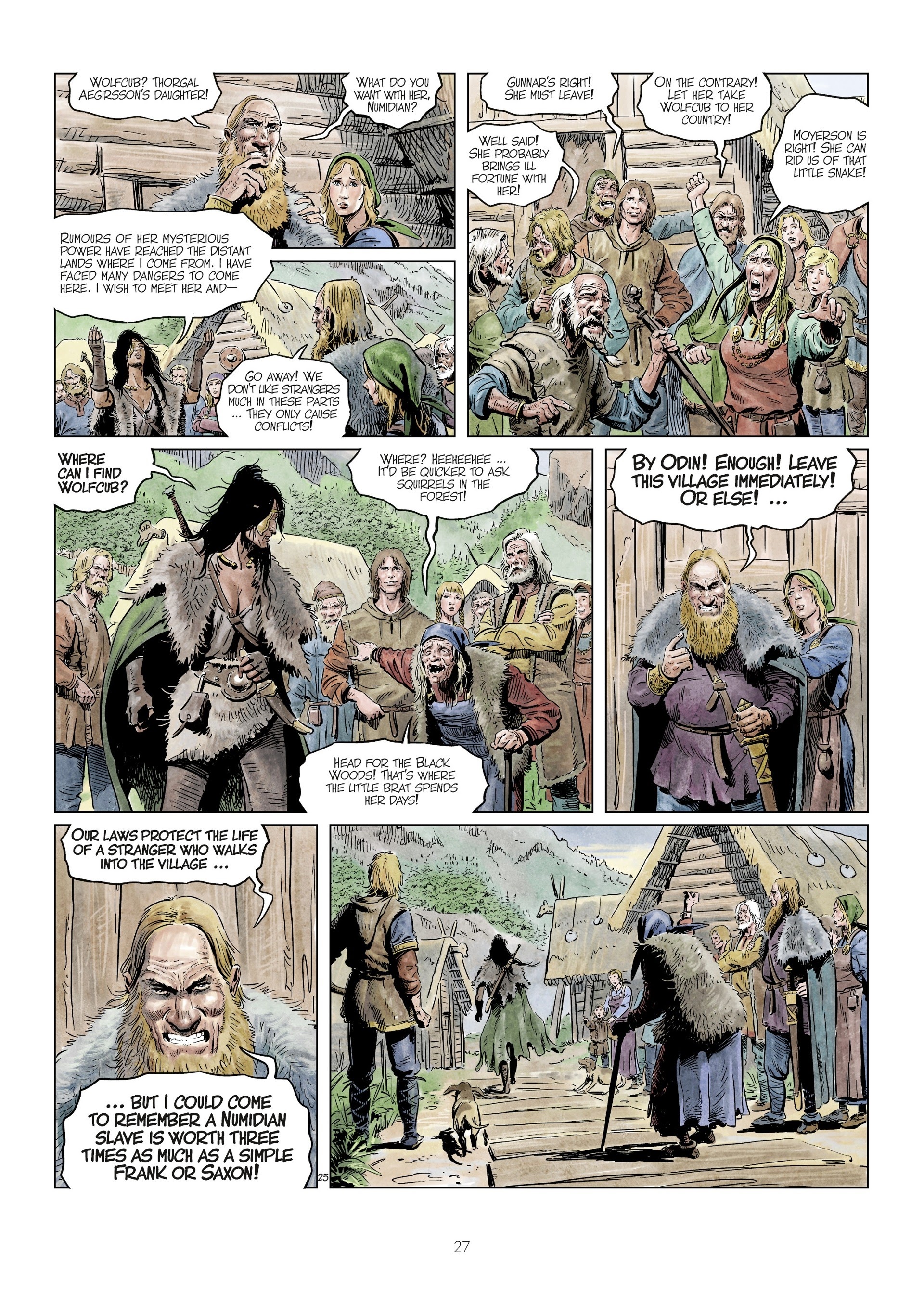 Read online The World of Thorgal: Wolfcub comic -  Issue #4 - 29