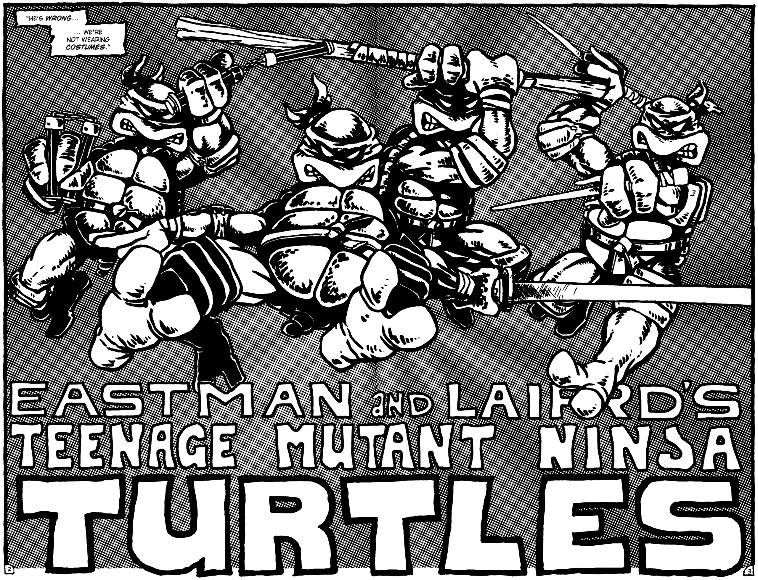 Read online Teenage Mutant Ninja Turtles (1984) comic -  Issue #1 - 4