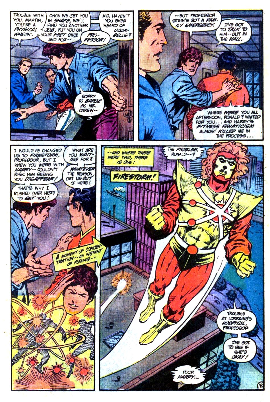 The Fury of Firestorm Issue #18 #22 - English 19