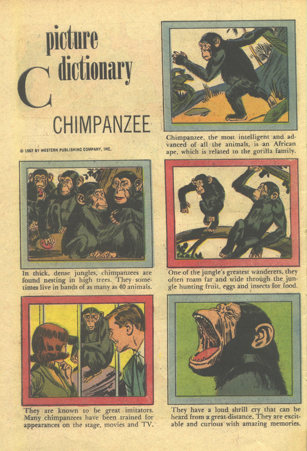 Scamp (1967) issue 1 - Page 30