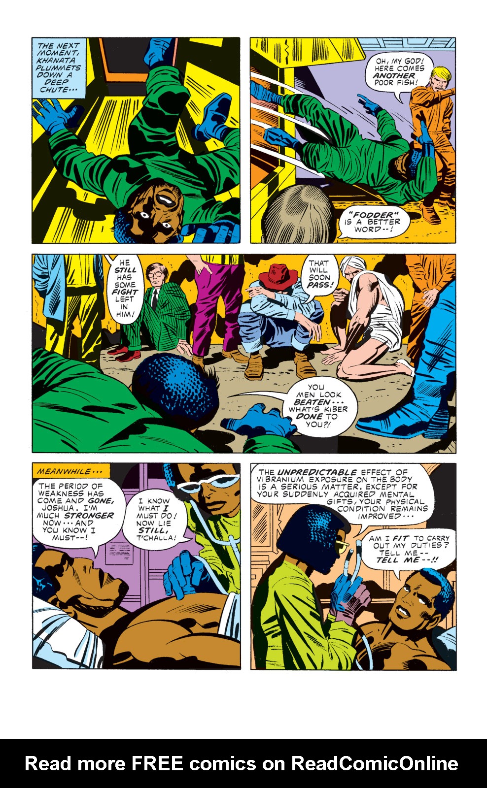 Black Panther (1977) issue 11 - Page 13