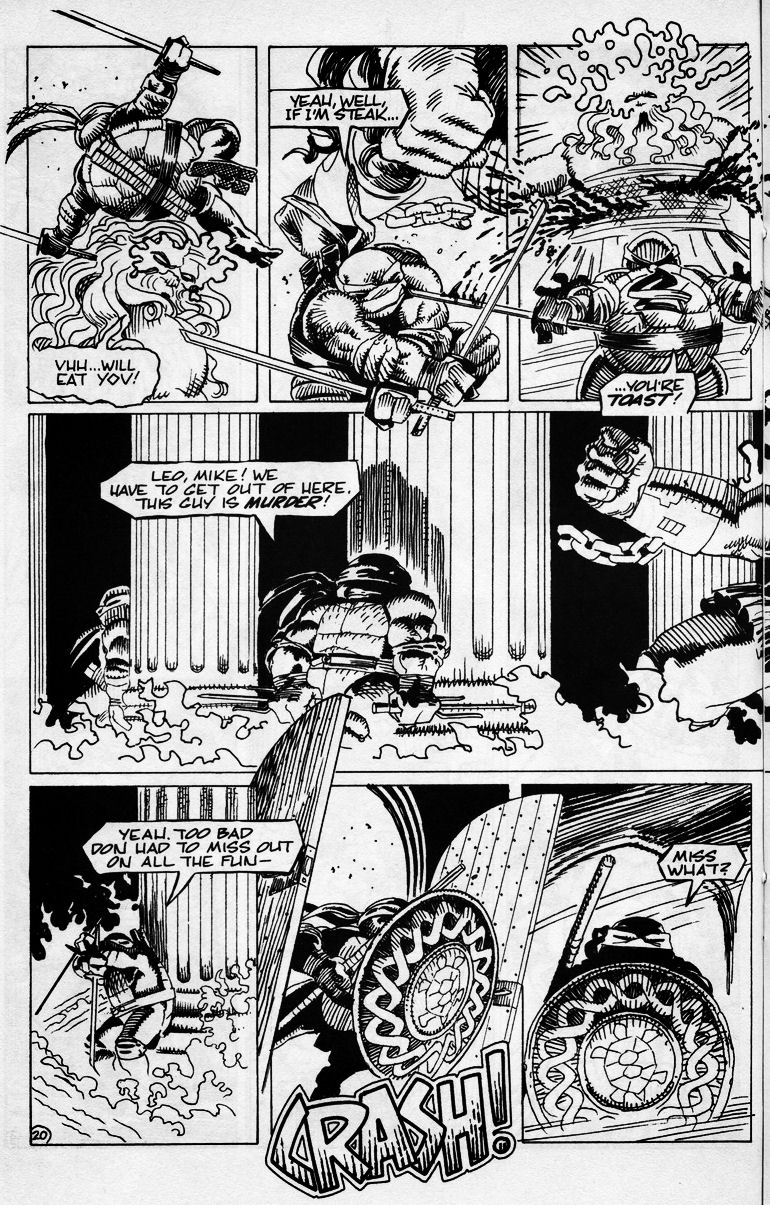 Read online Teenage Mutant Ninja Turtles (1984) comic -  Issue #43 - 22
