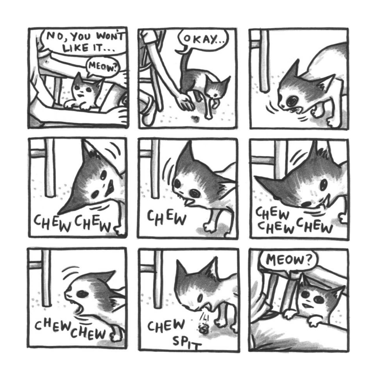 Read online Cats are Weird and More Observations comic -  Issue # TPB - 89