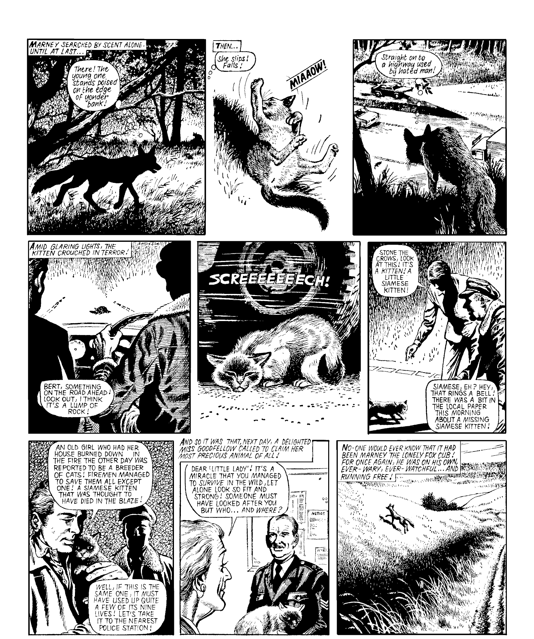 Read online Marney the Fox comic -  Issue # TPB (Part 2) - 15