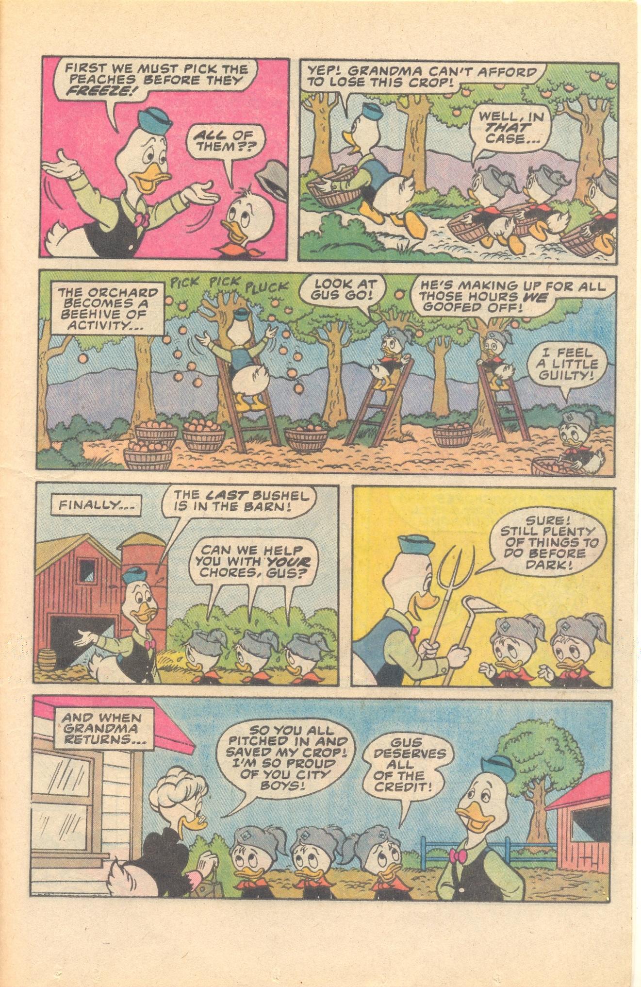 Read online Huey, Dewey, and Louie Junior Woodchucks comic -  Issue #79 - 25