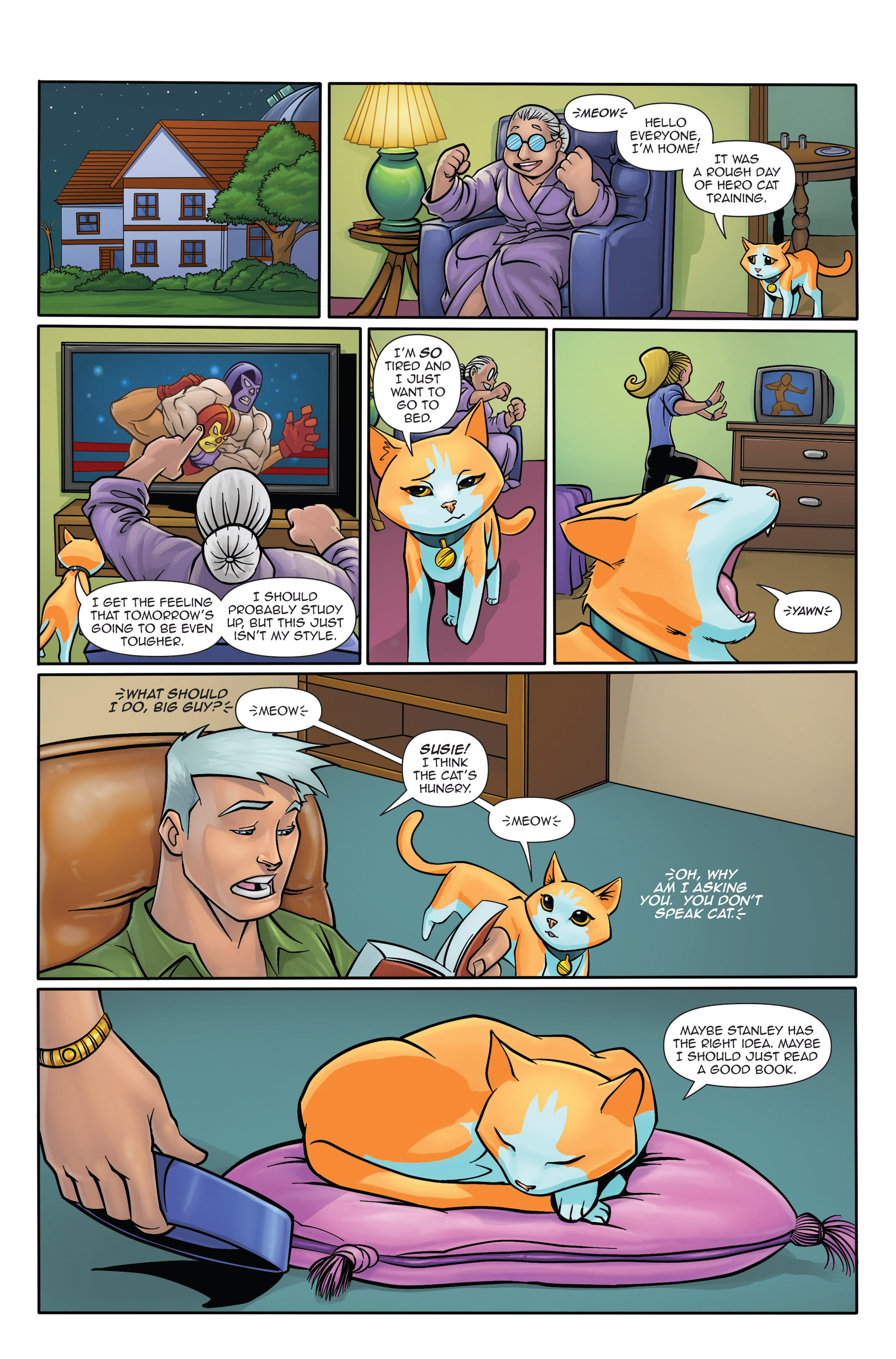 Read online Hero Cats comic -  Issue #3 - 10