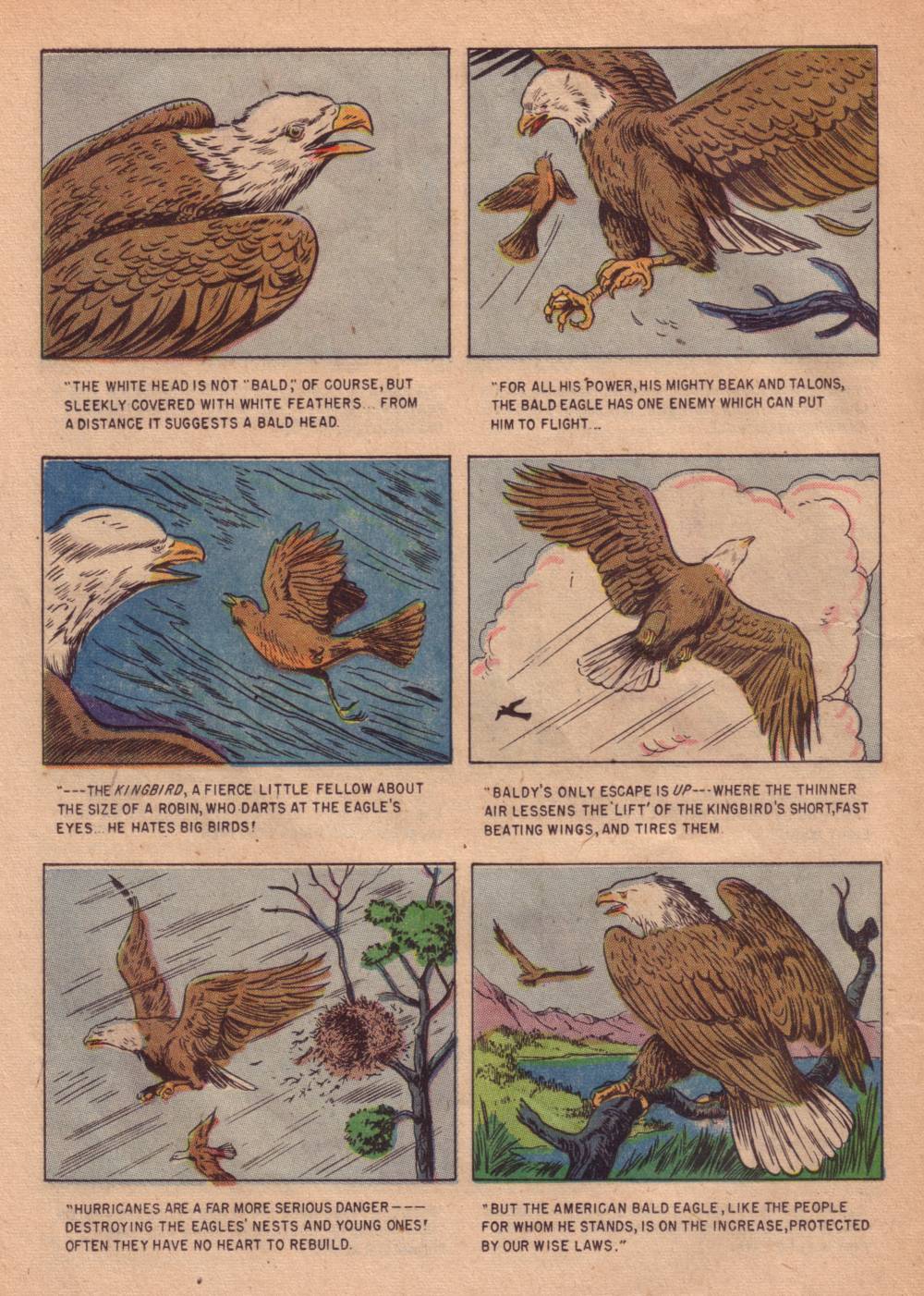 Read online Four Color Comics comic -  Issue #662 - 22