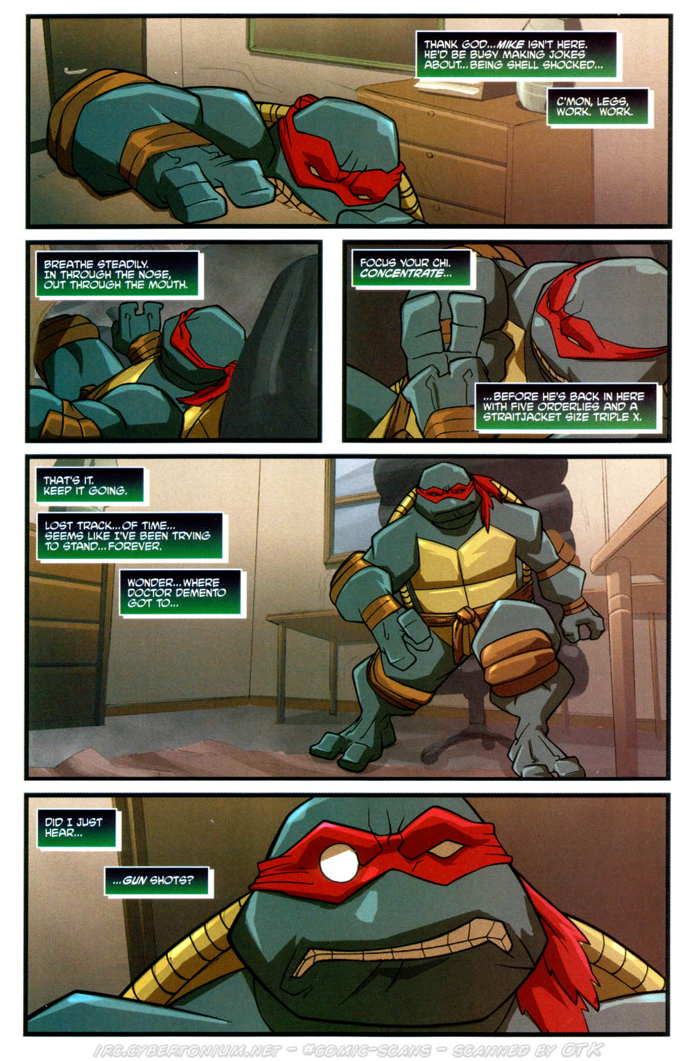 Read online Teenage Mutant Ninja Turtles (2003) comic -  Issue #5 - 19