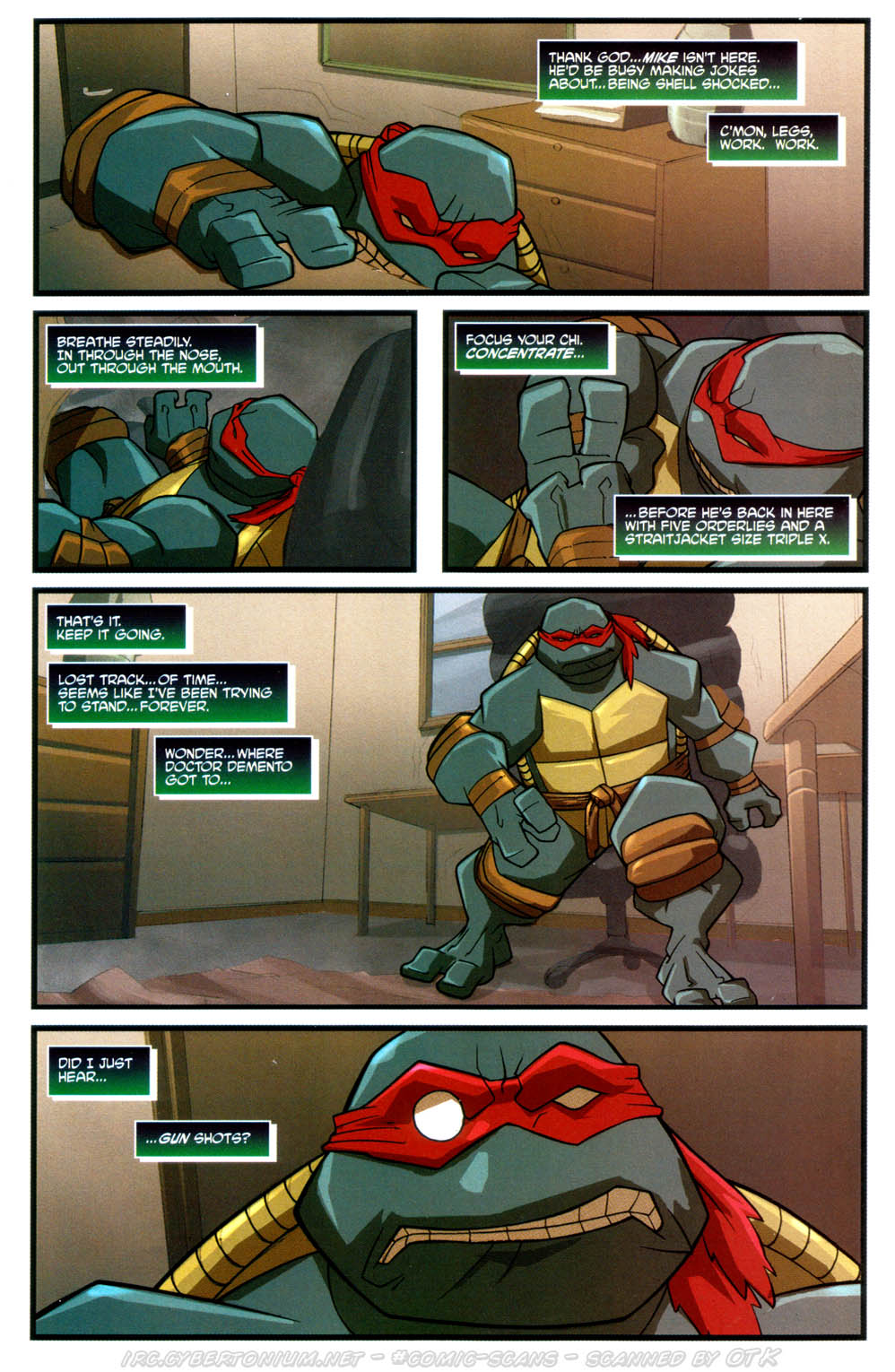 Teenage Mutant Ninja Turtles (2003) Issue #5 #5 - English 19