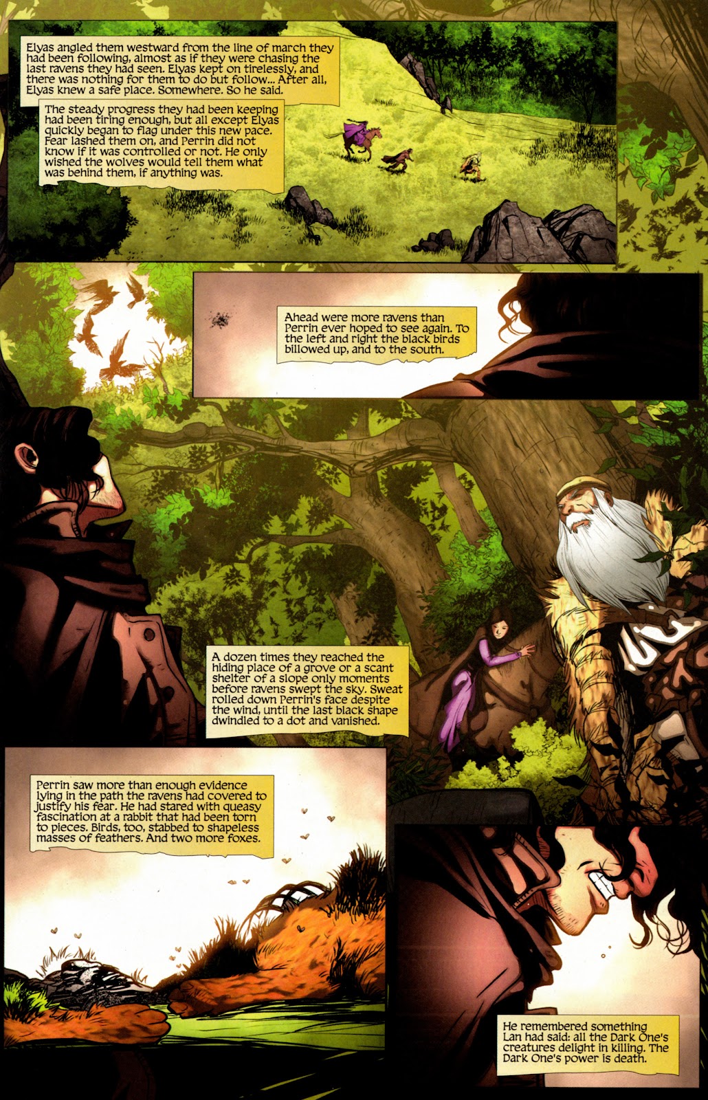 Robert Jordan's Wheel of Time: The Eye of the World issue 20 - Page 15