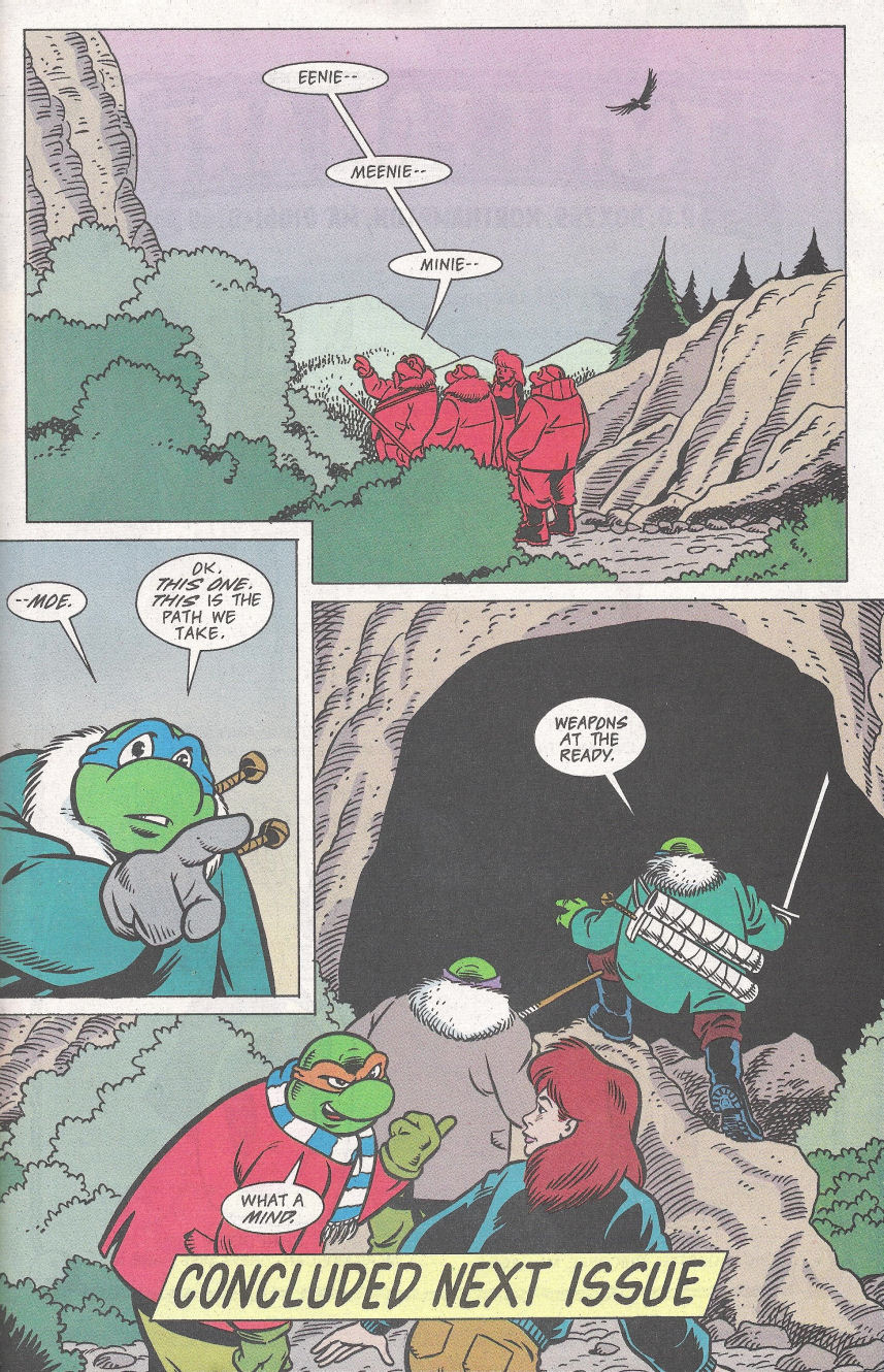 Read online Teenage Mutant Ninja Turtles Adventures (1989) comic -  Issue #69 - 24