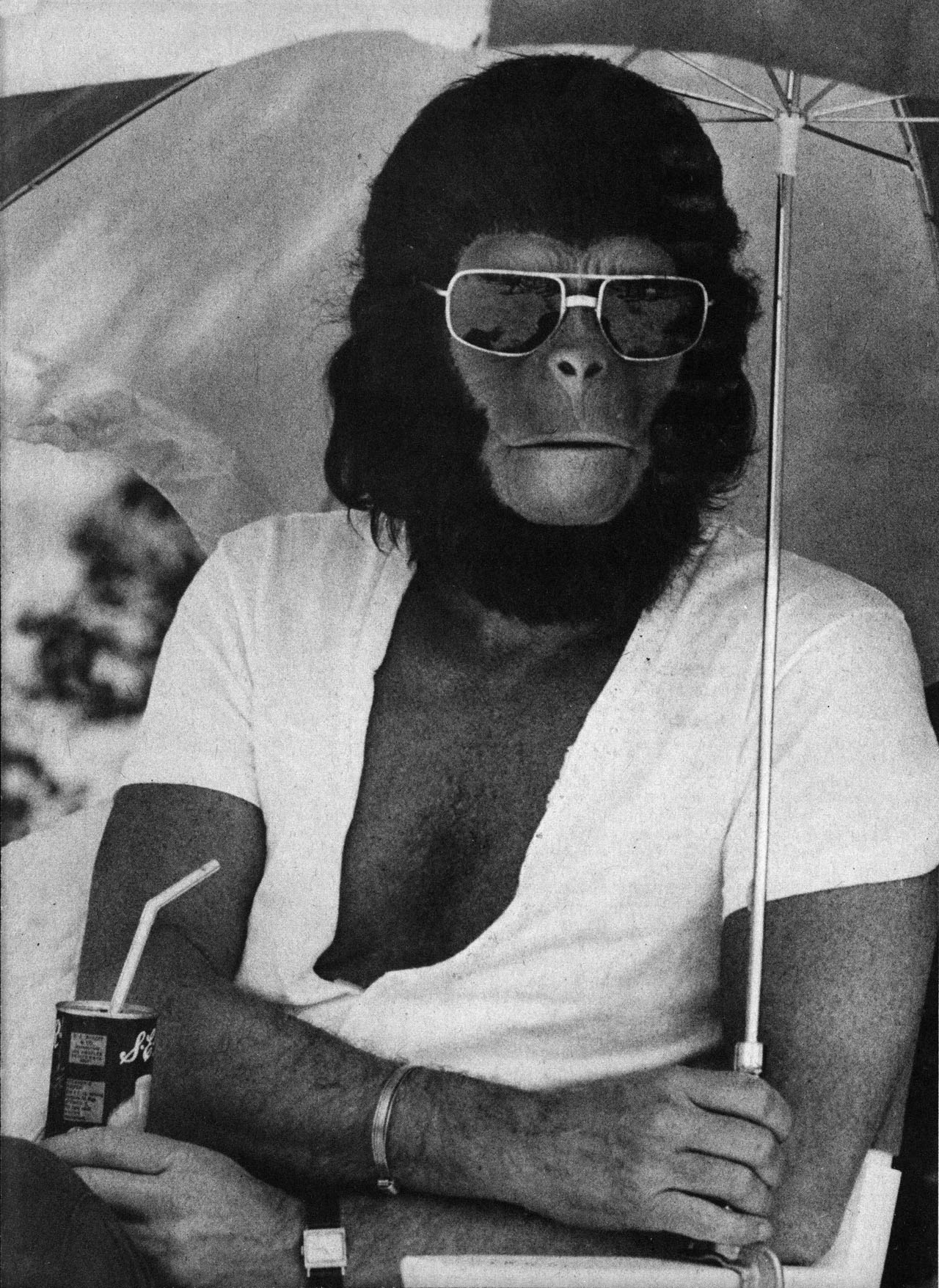 Read online Planet of the Apes comic -  Issue #3 - 44