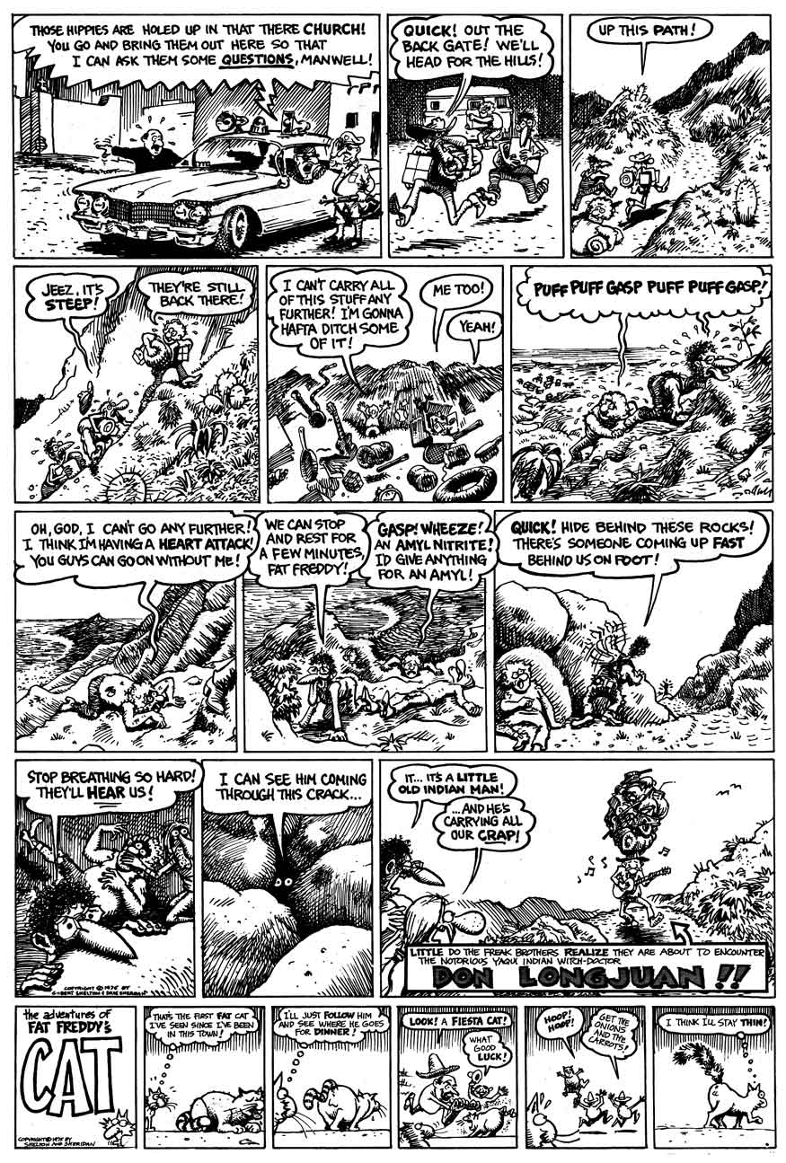 Read online The Fabulous Furry Freak Brothers comic -  Issue #4 - 13