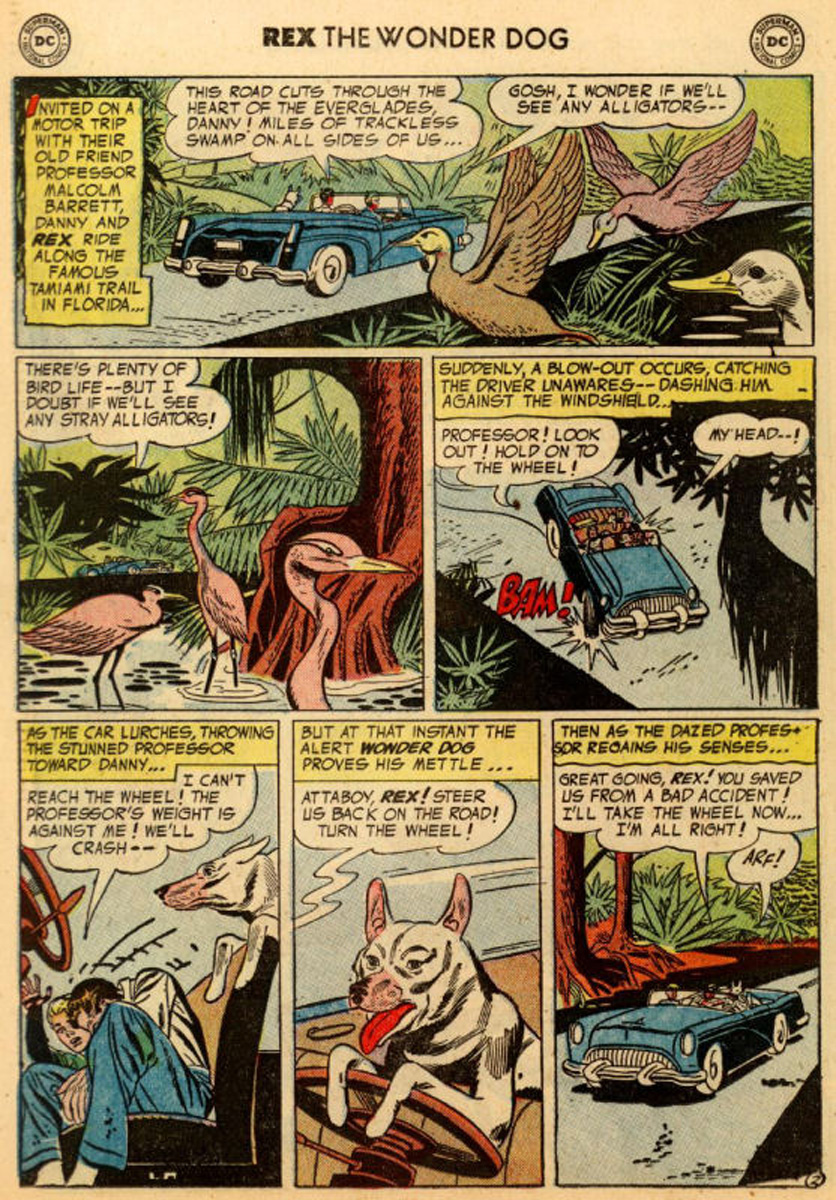 Read online The Adventures of Rex the Wonder Dog comic -  Issue #18 - 26