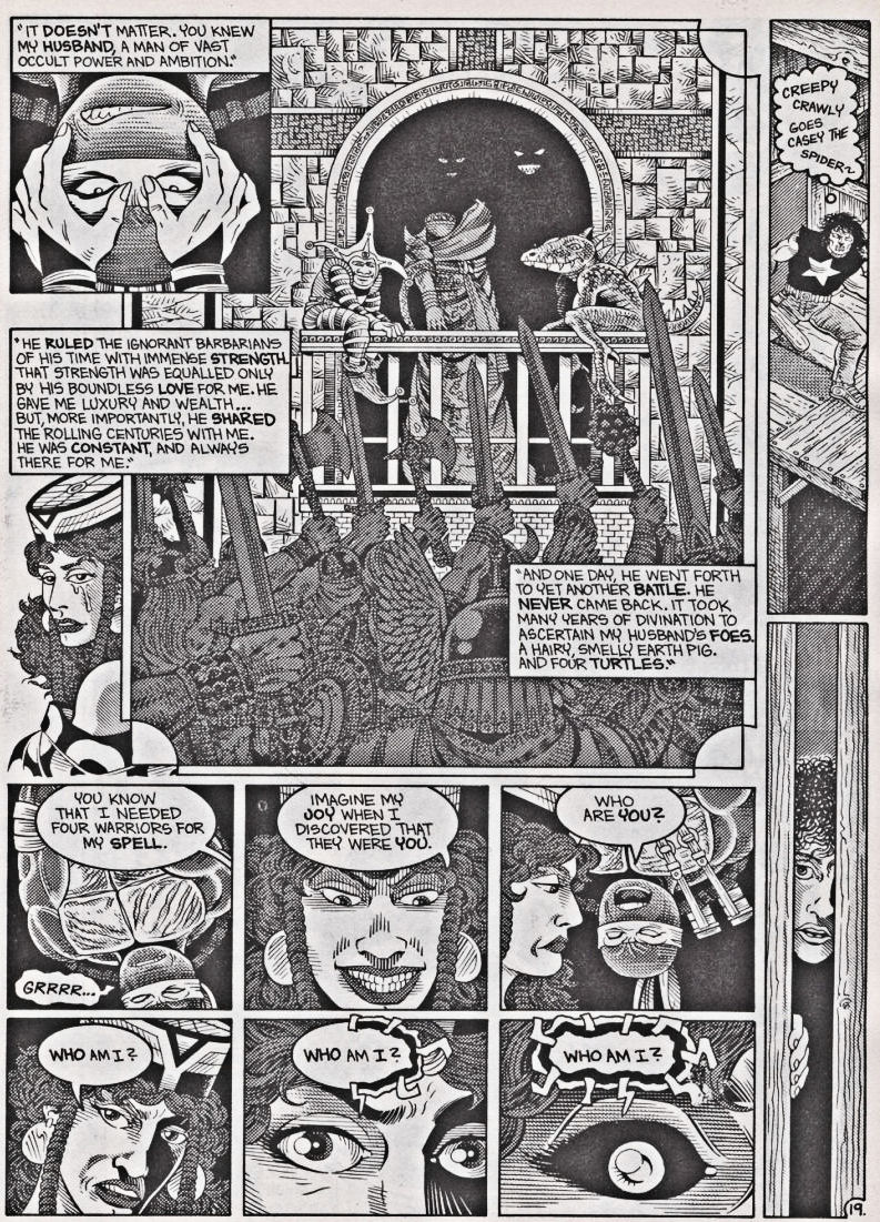 Teenage Mutant Ninja Turtles (1984) Issue #42 #42 - English 20