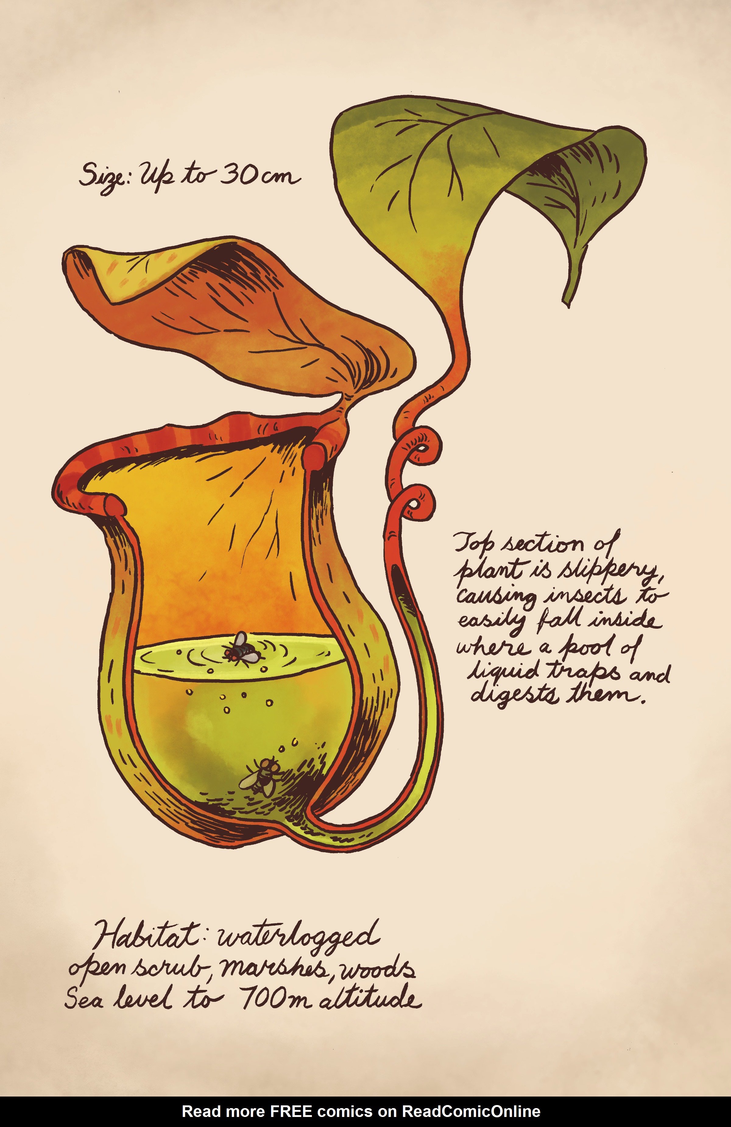 Read online Over the Garden Wall: Distillatoria comic -  Issue # TPB - 134