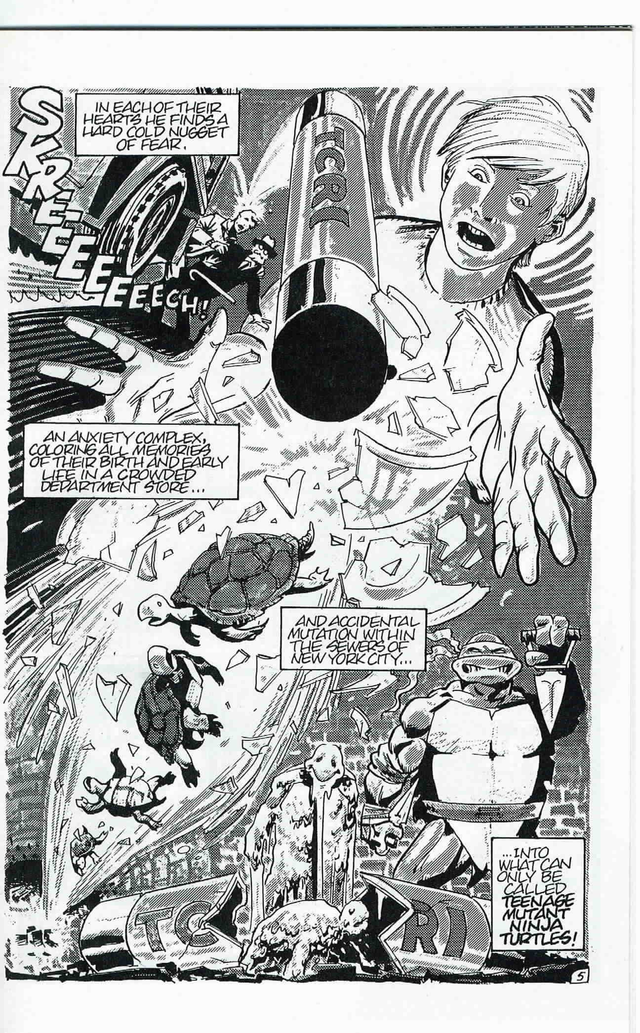 Teenage Mutant Ninja Turtles (1984) Issue #24 #24 - English 6