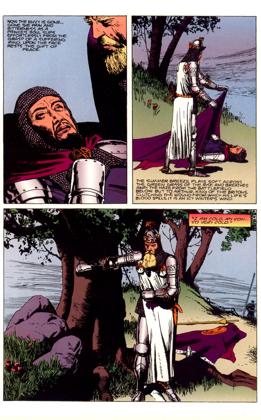 Read online Prince Valiant (1994) comic -  Issue #1 - 8